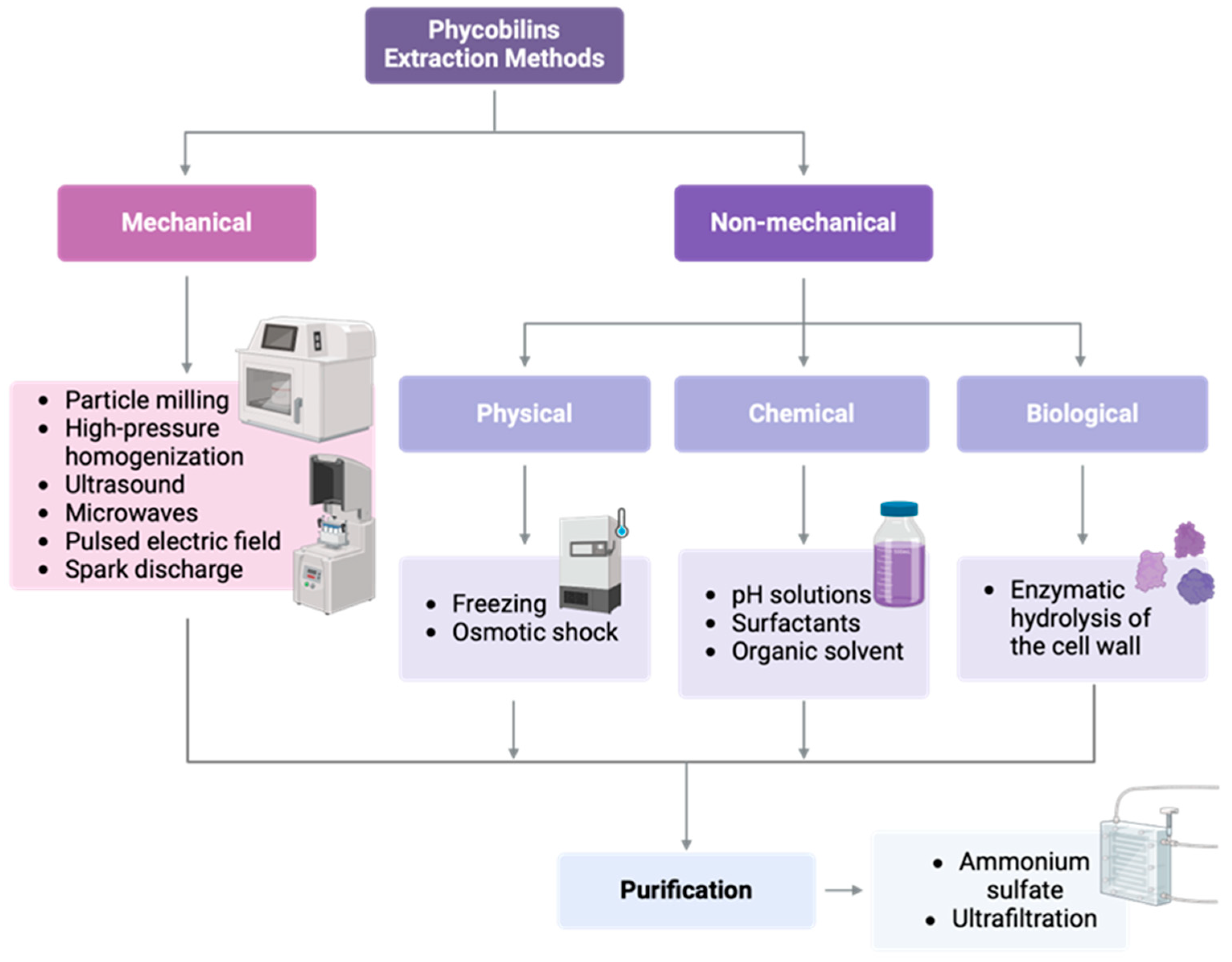 Marinedrugs 23 00201 g006