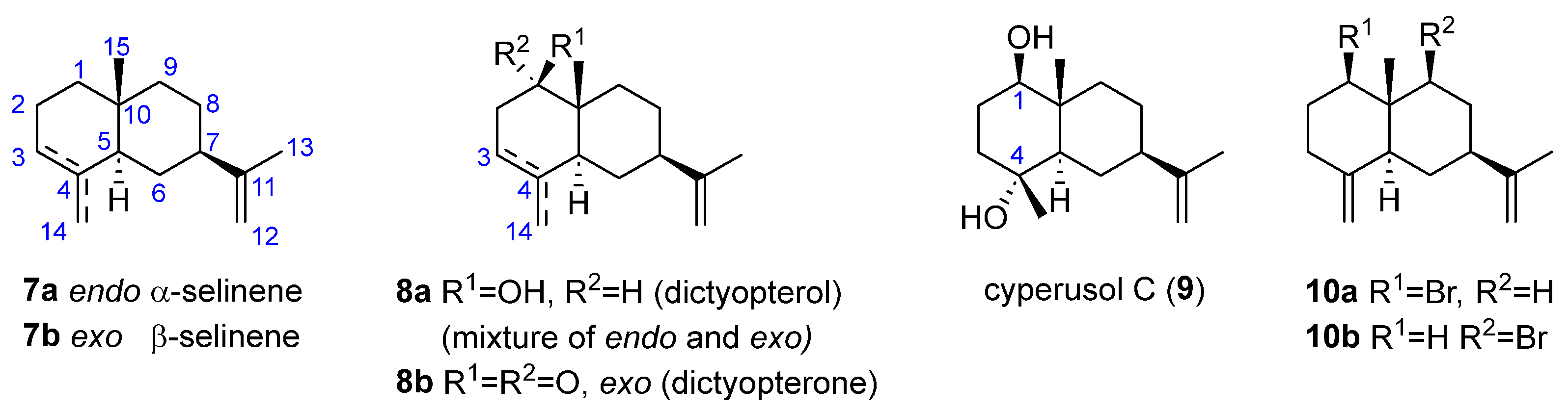 Marinedrugs 23 00210 g002
