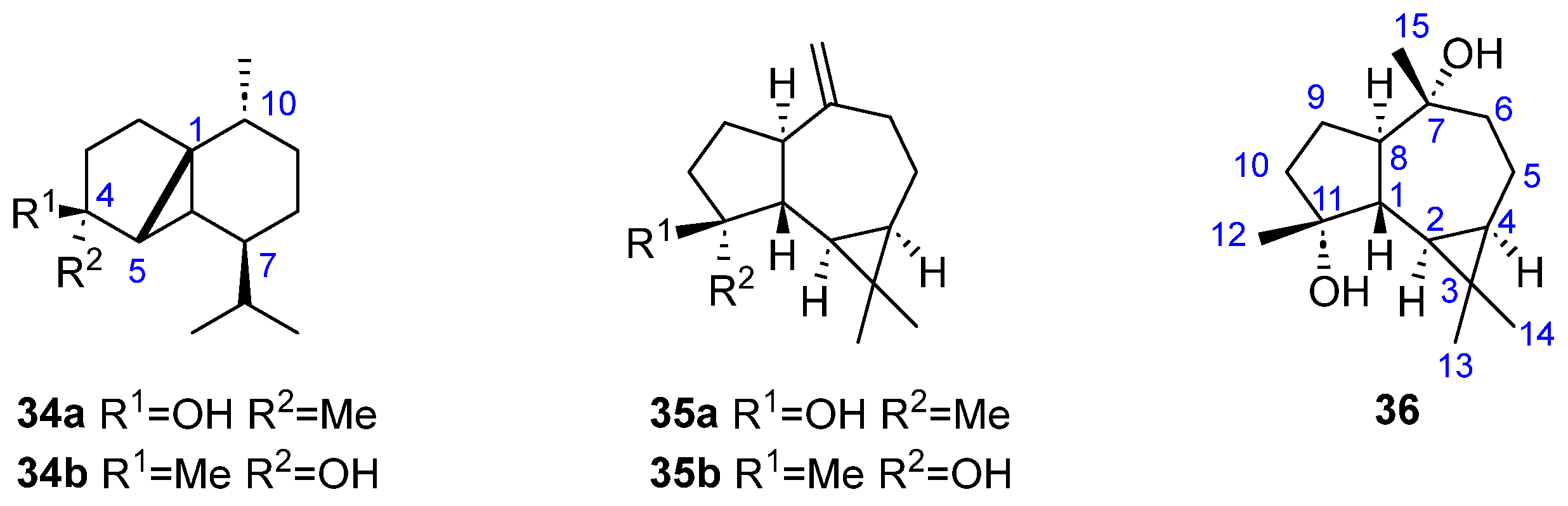 Marinedrugs 23 00210 g008