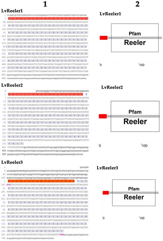 Marinedrugs 23 00215 g0a1