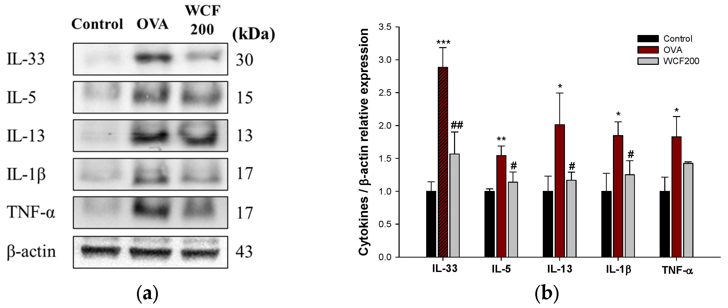 Marinedrugs 23 00221 g003