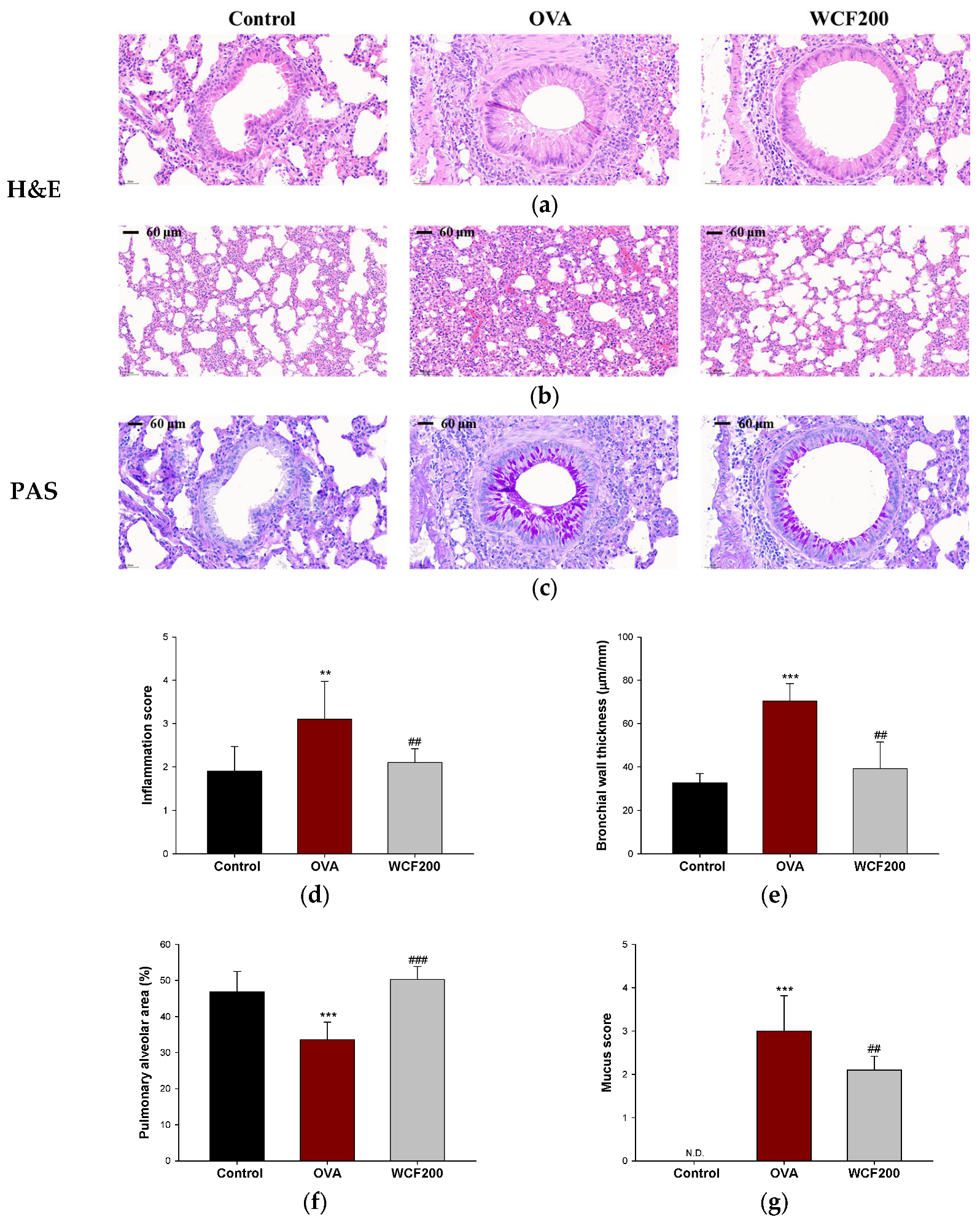 Marinedrugs 23 00221 g005