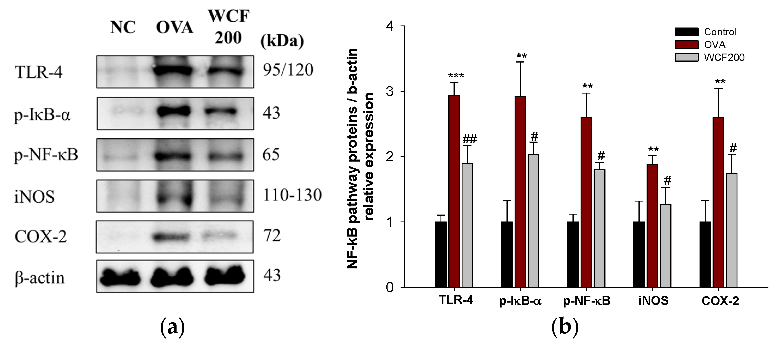 Marinedrugs 23 00221 g007