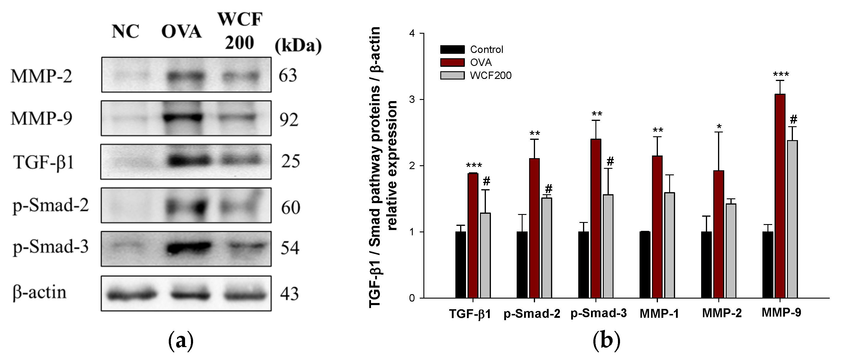 Marinedrugs 23 00221 g008