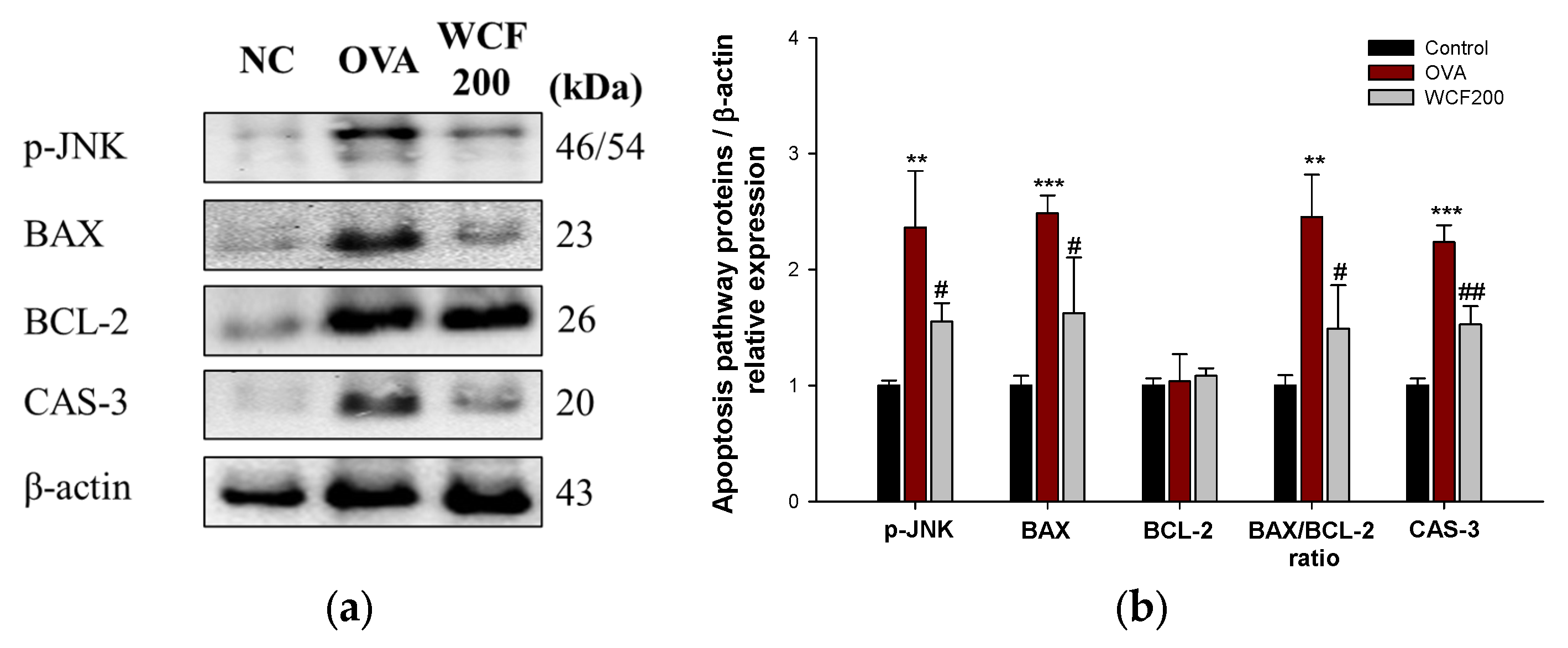 Marinedrugs 23 00221 g009