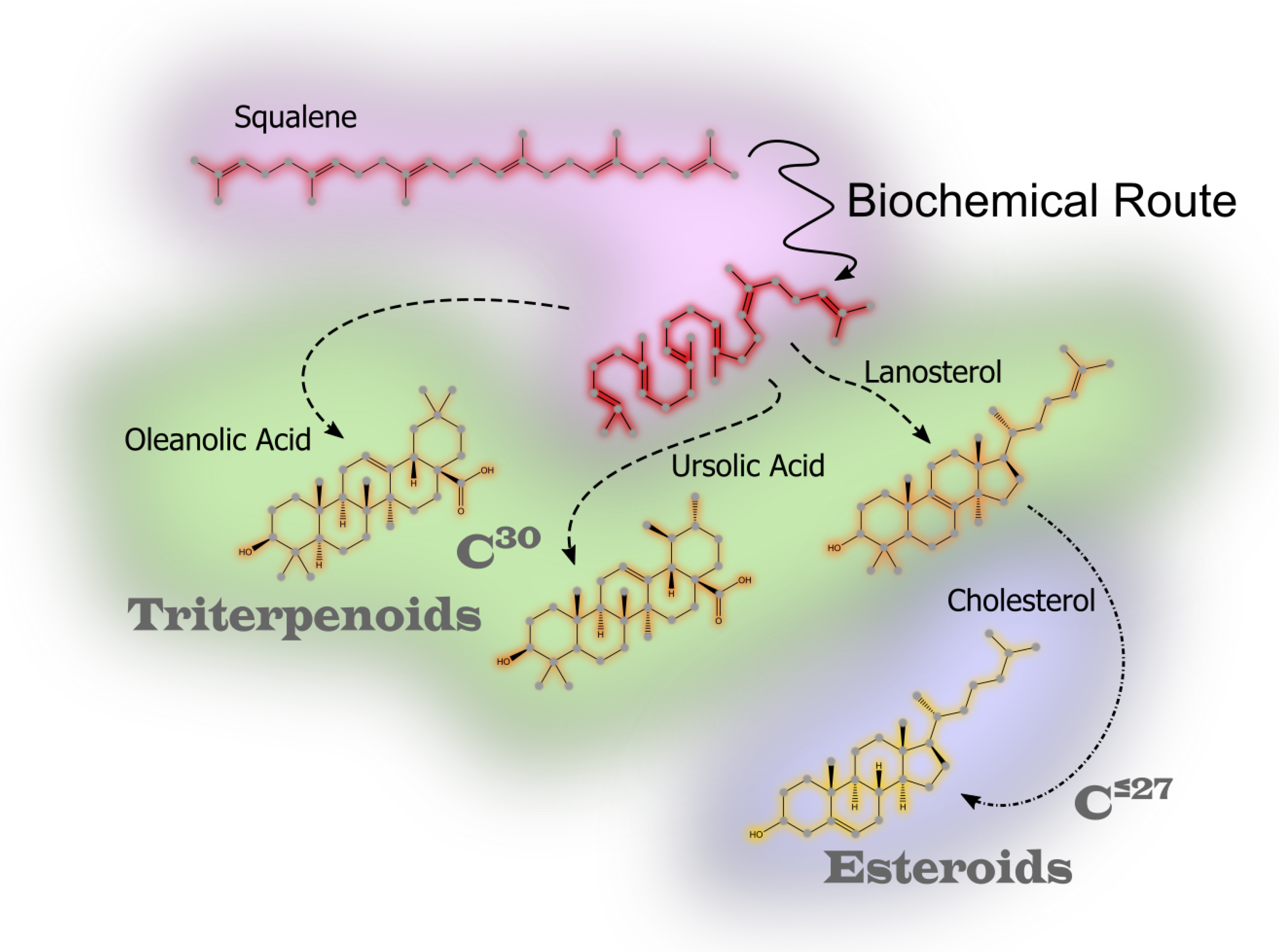 Marinedrugs 23 00227 g005