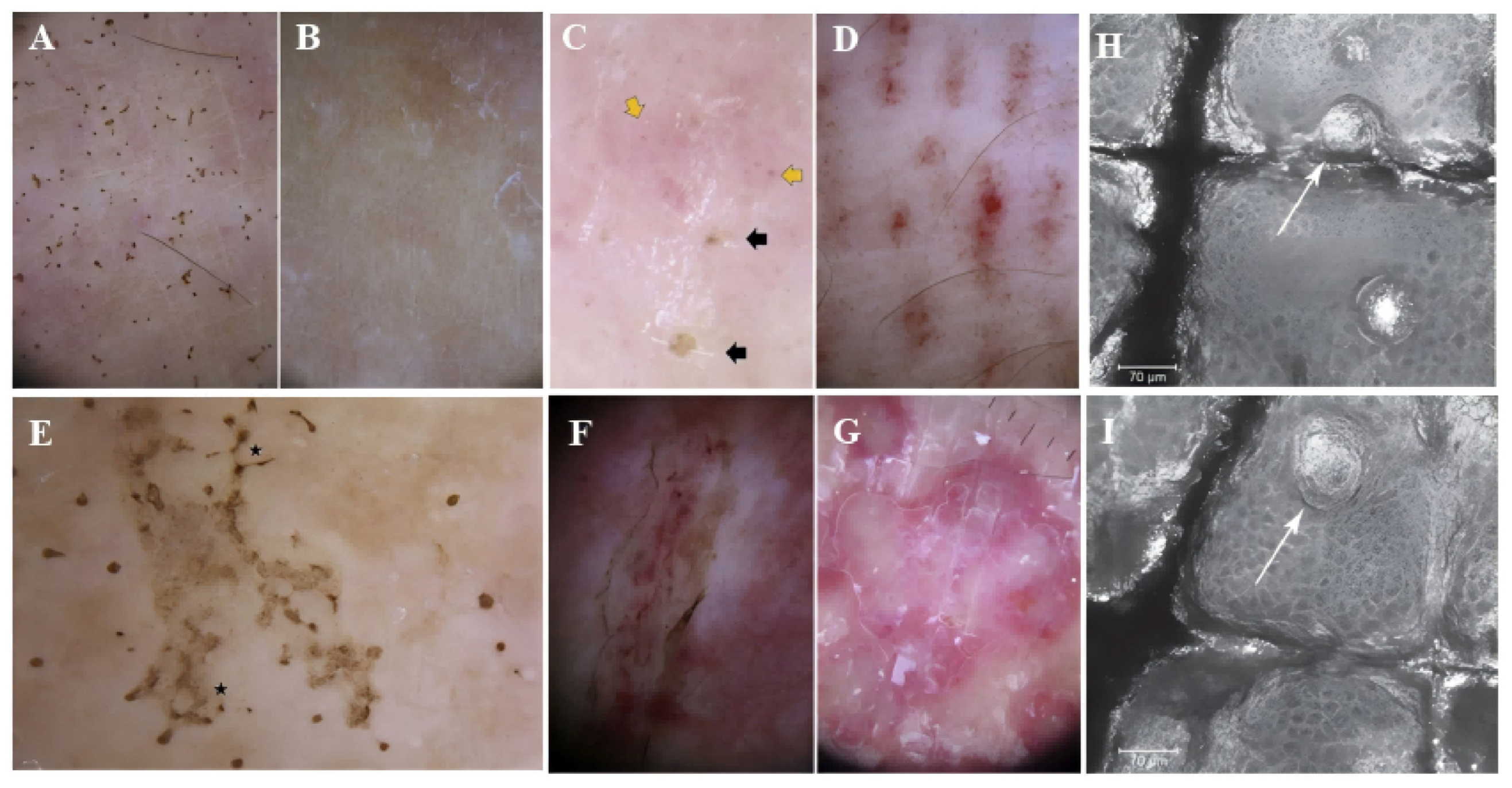 Marinedrugs 23 00231 g003 Marinedrugs 23 00231 g003