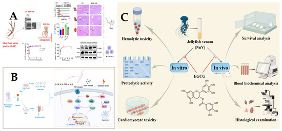Marinedrugs 23 00231 g004