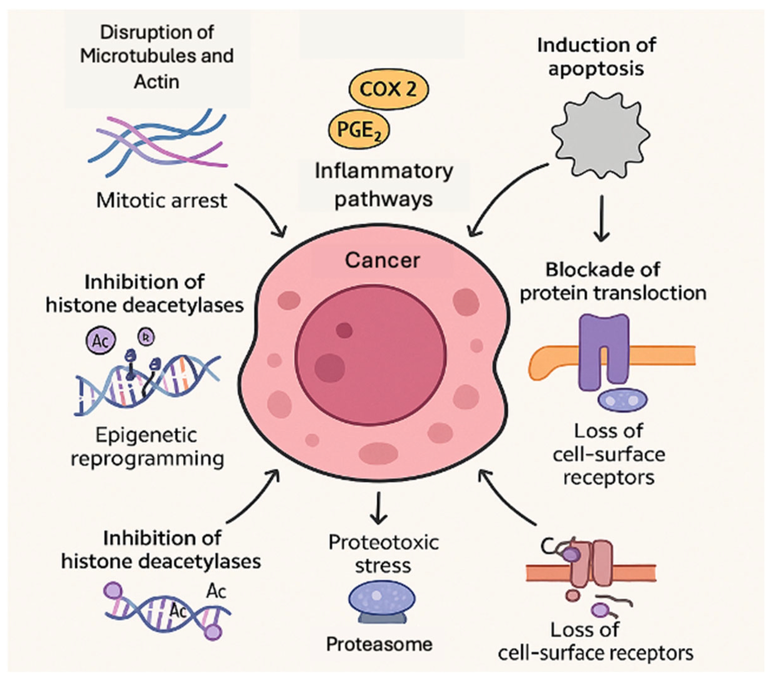 Marinedrugs 23 00233 g001