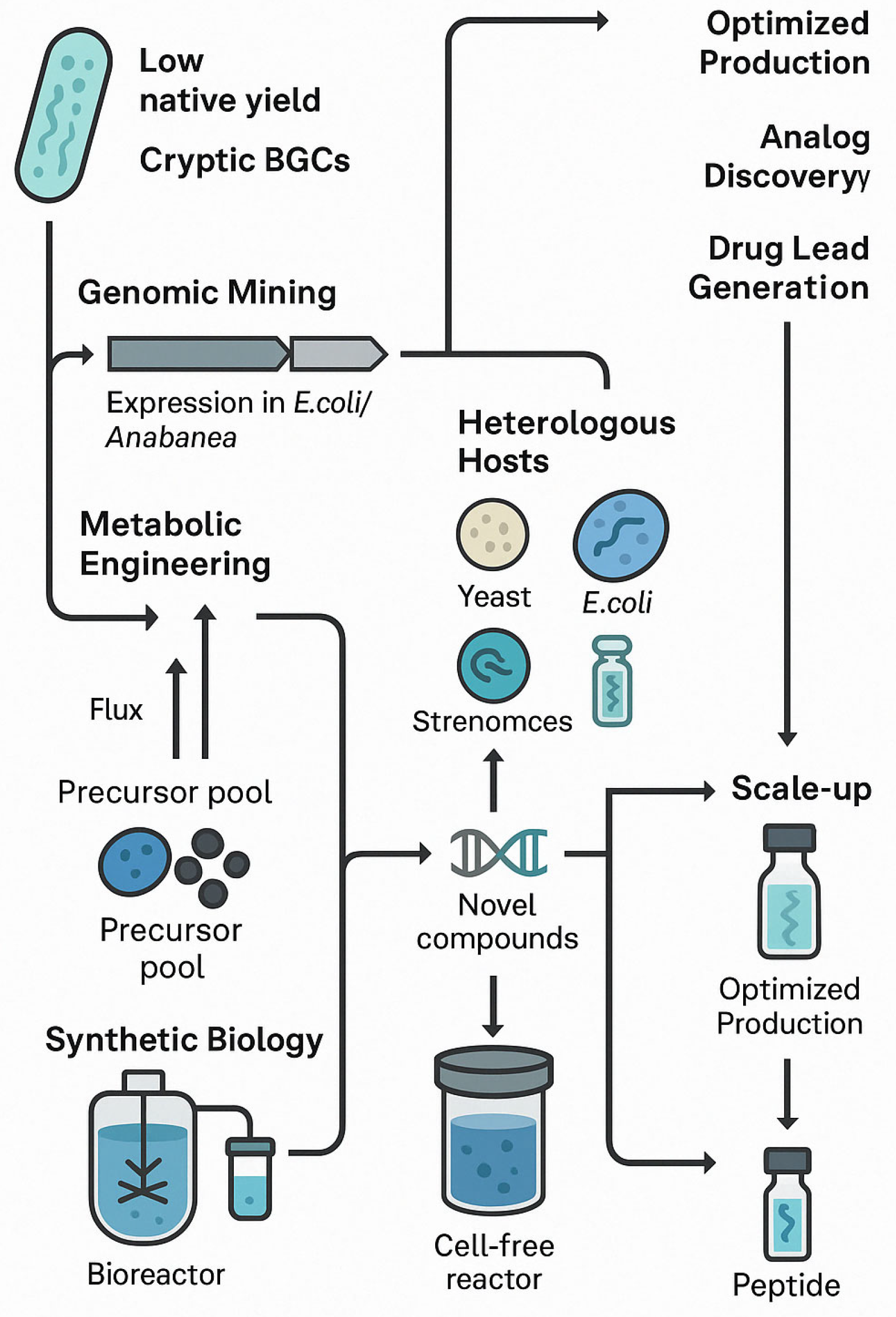 Marinedrugs 23 00233 g002