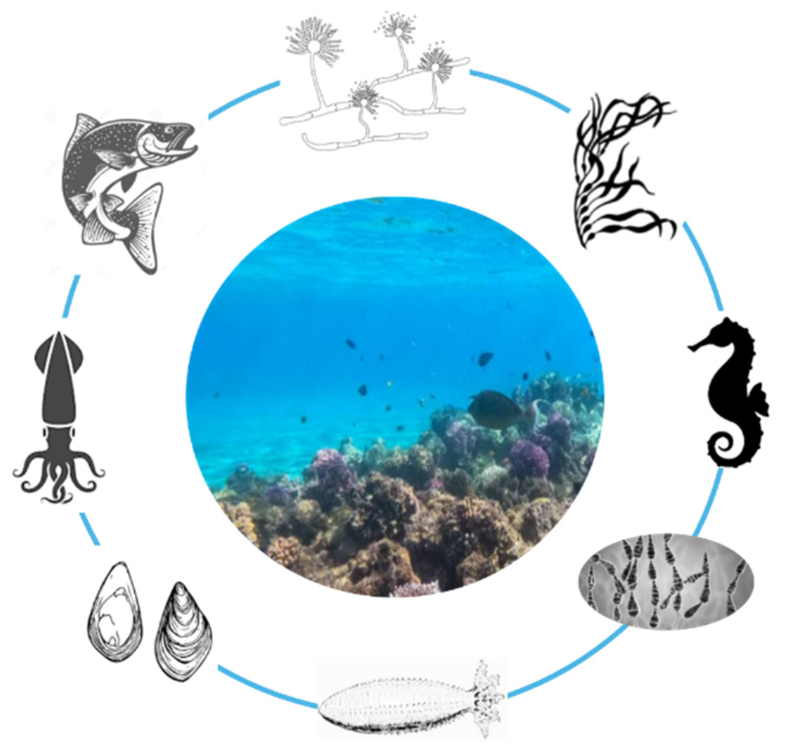 Marinedrugs 23 00240 g001