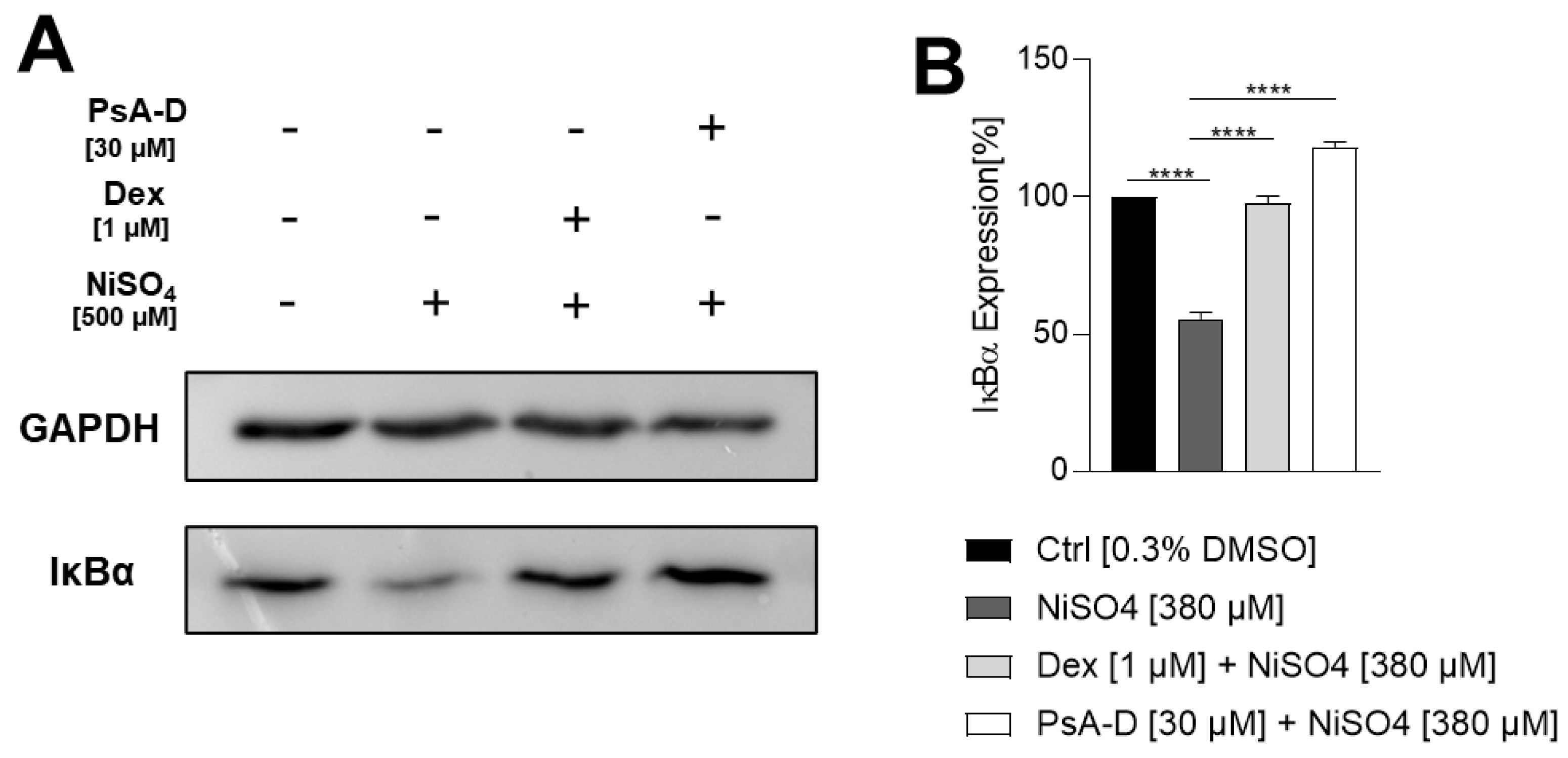 Marinedrugs 23 00245 g003