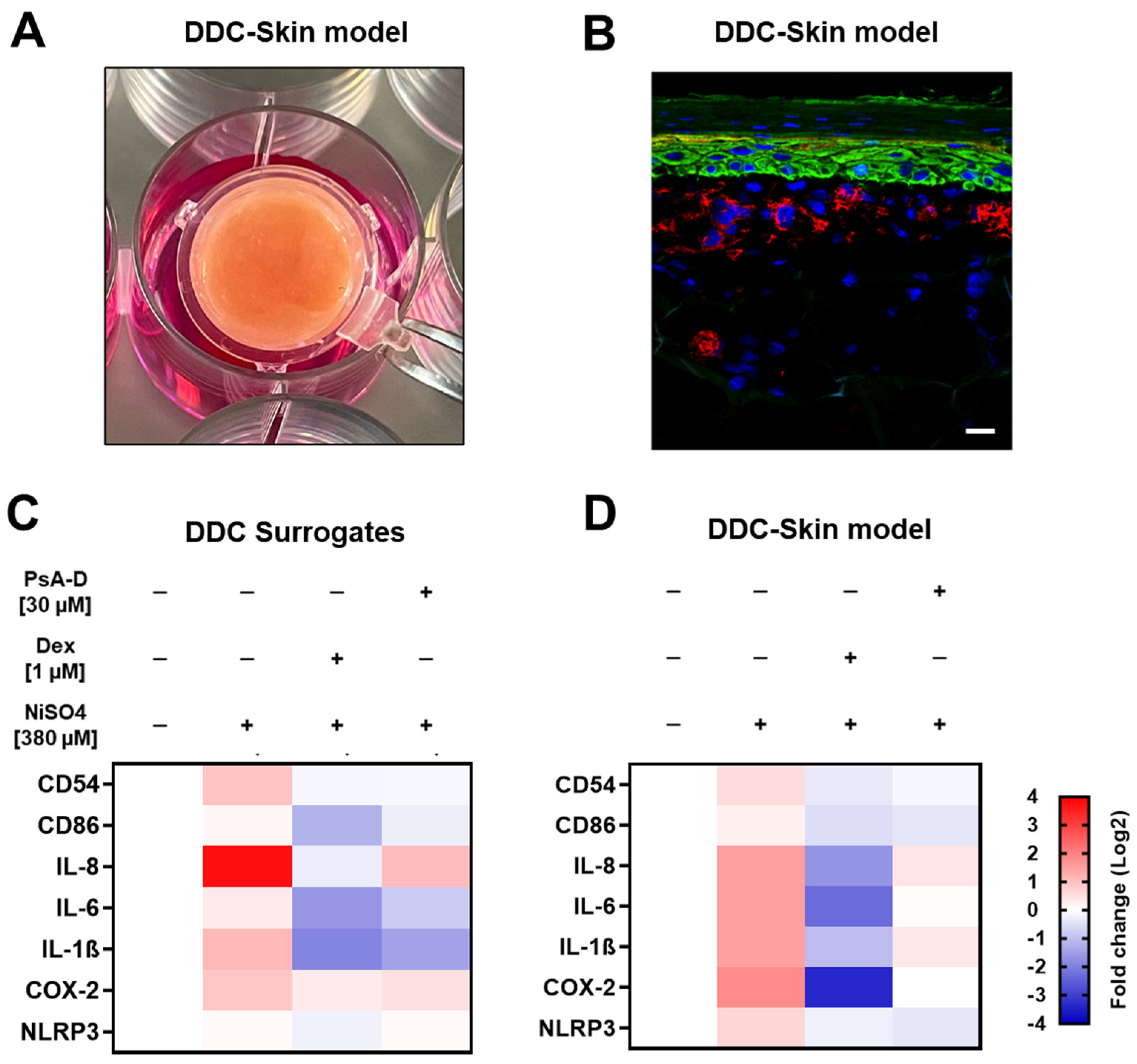 Marinedrugs 23 00245 g005