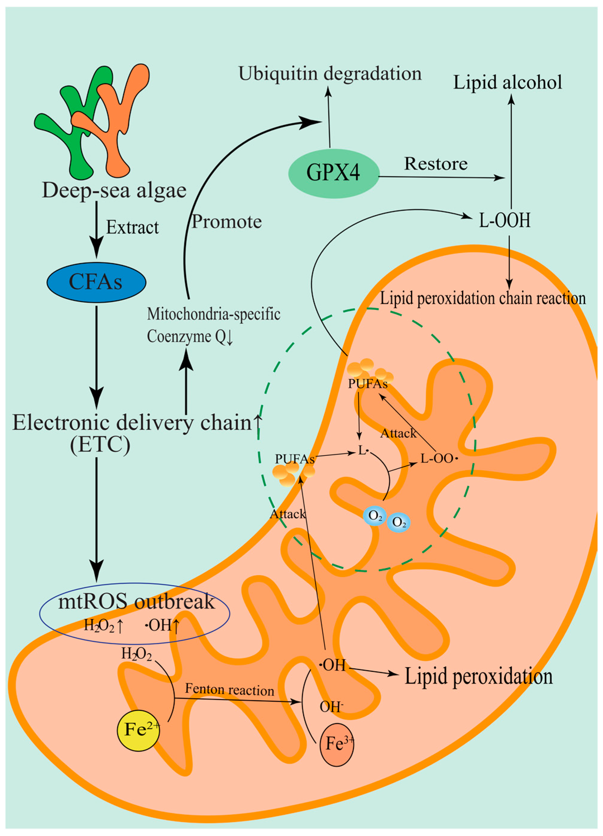 Marinedrugs 23 00258 g003