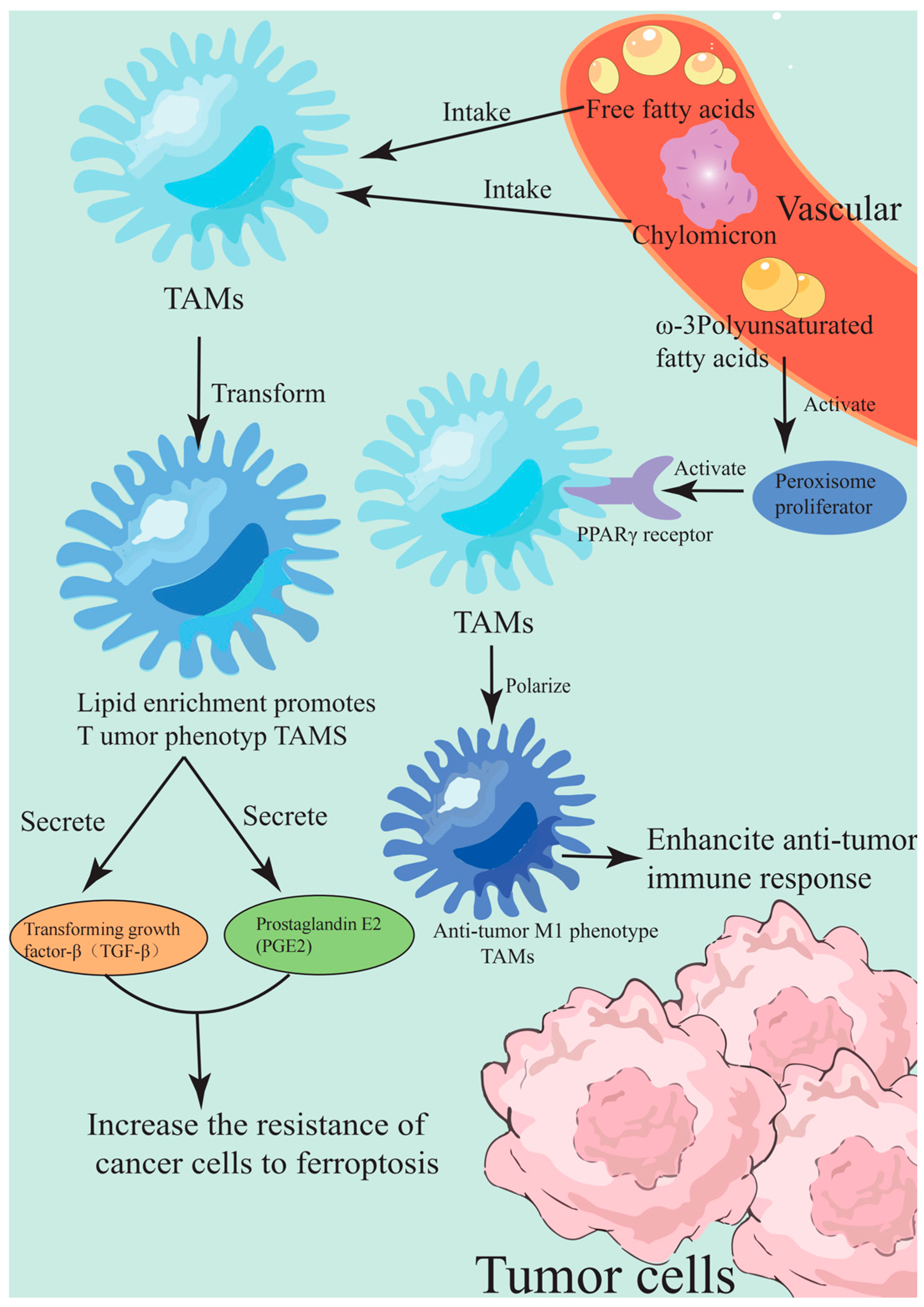 Marinedrugs 23 00258 g004