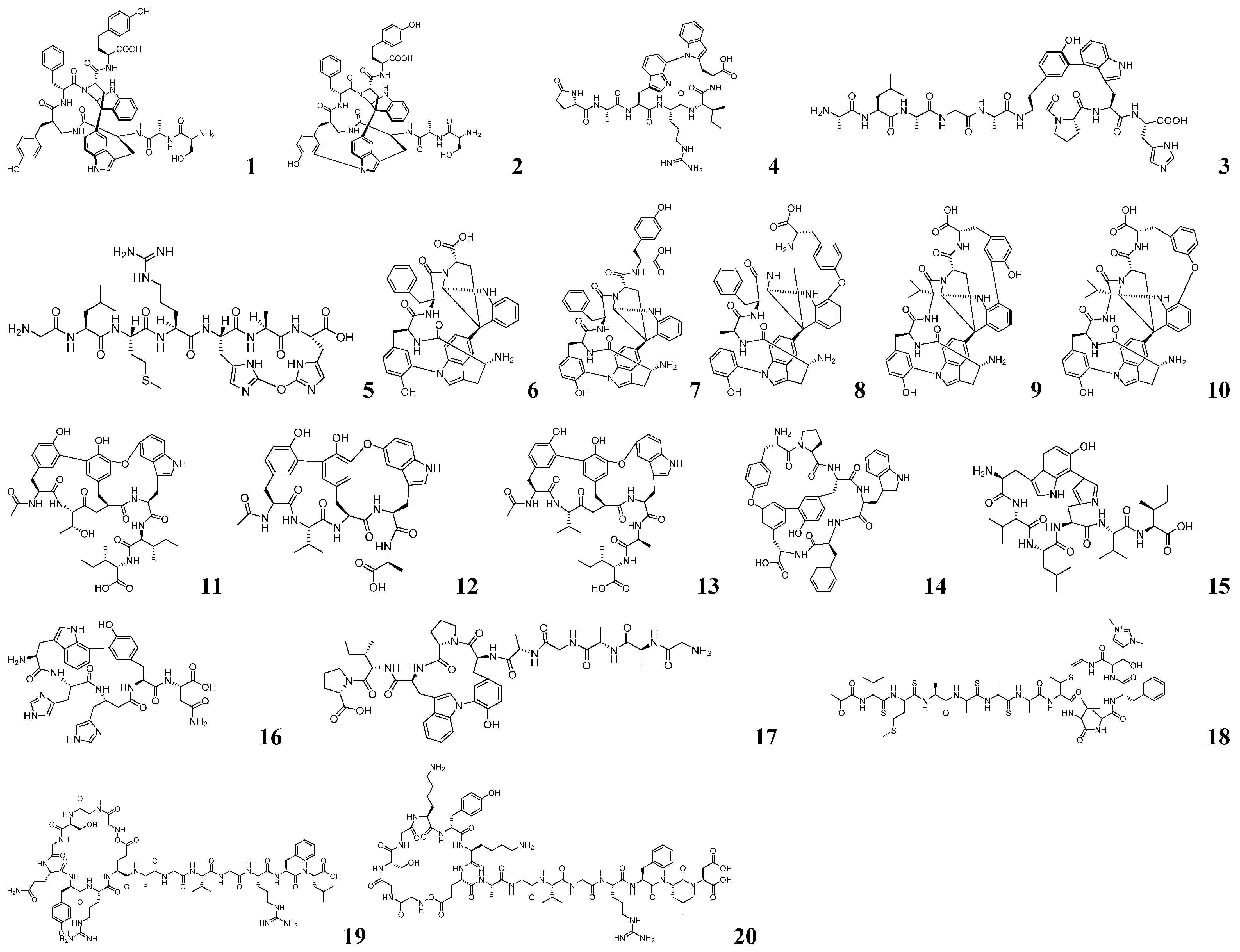 Marinedrugs 23 00261 g002