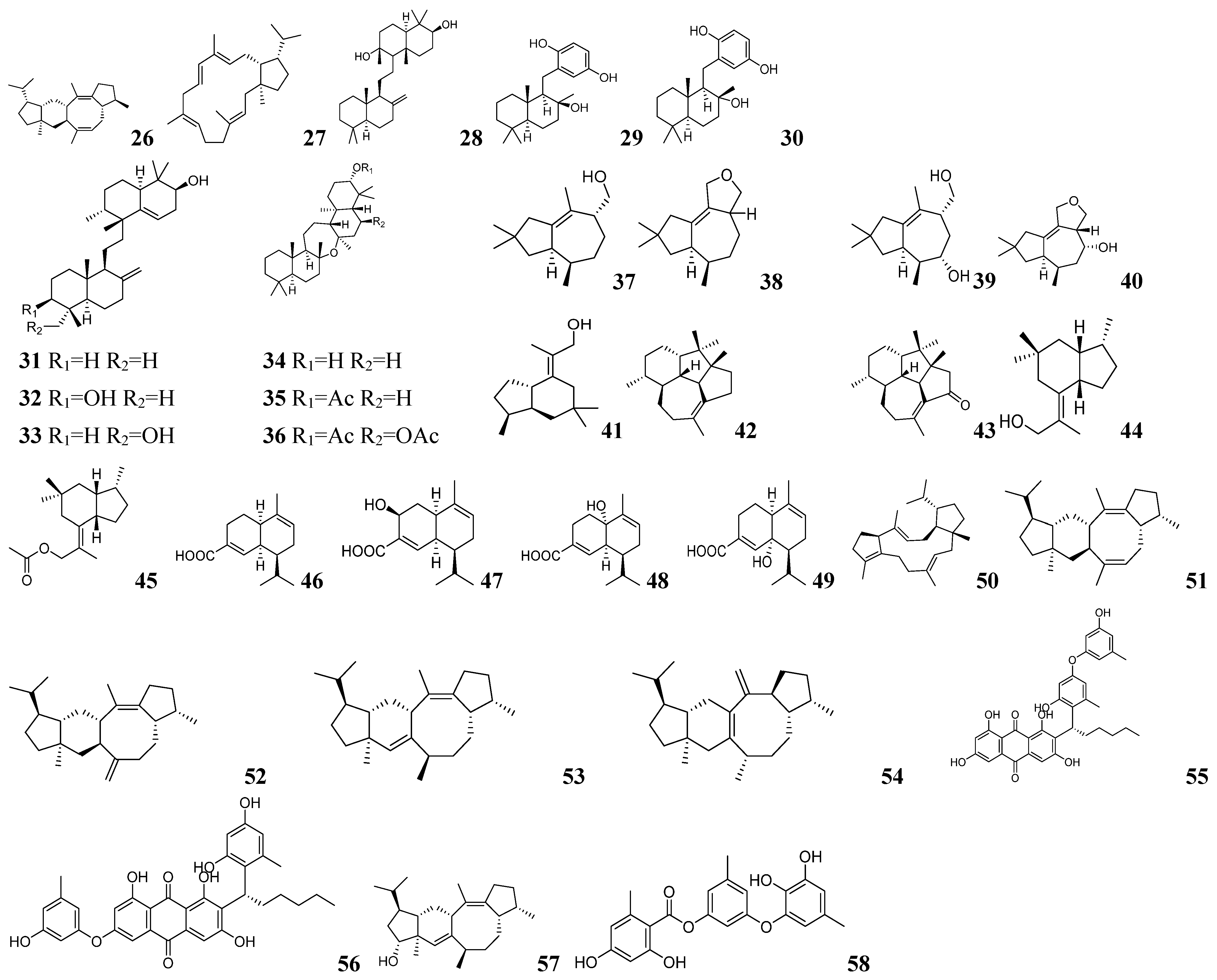Marinedrugs 23 00261 g005