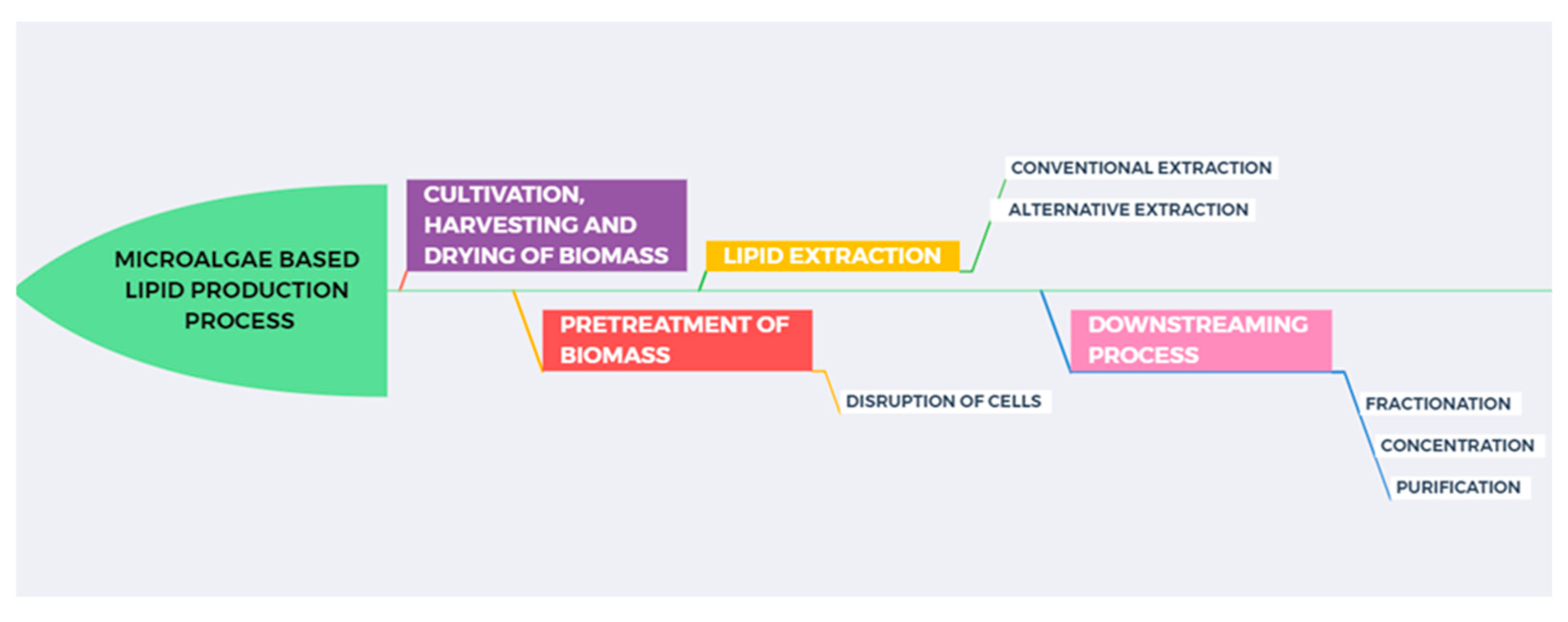 Marinedrugs 23 00263 g001