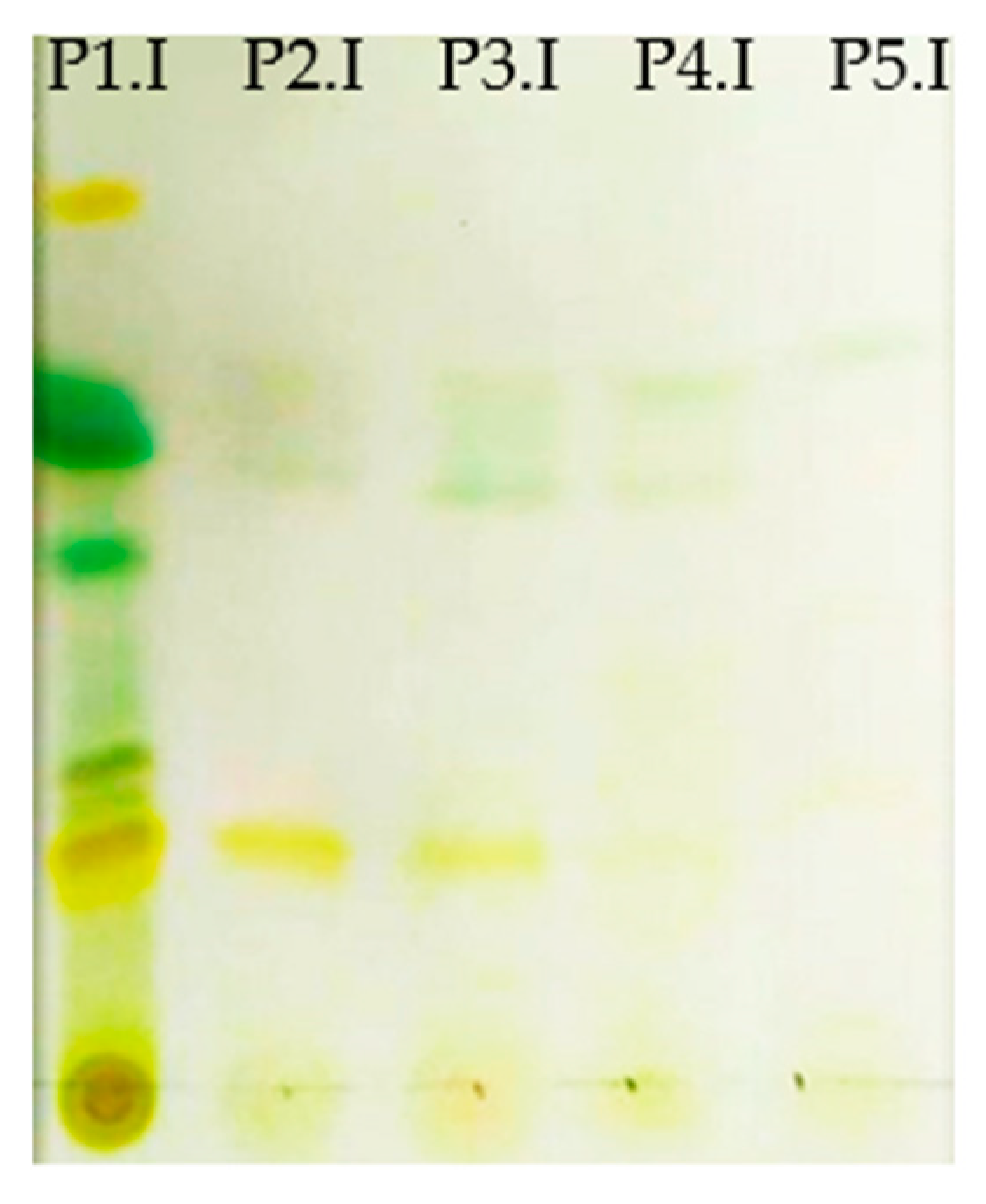 Marinedrugs 23 00263 g005