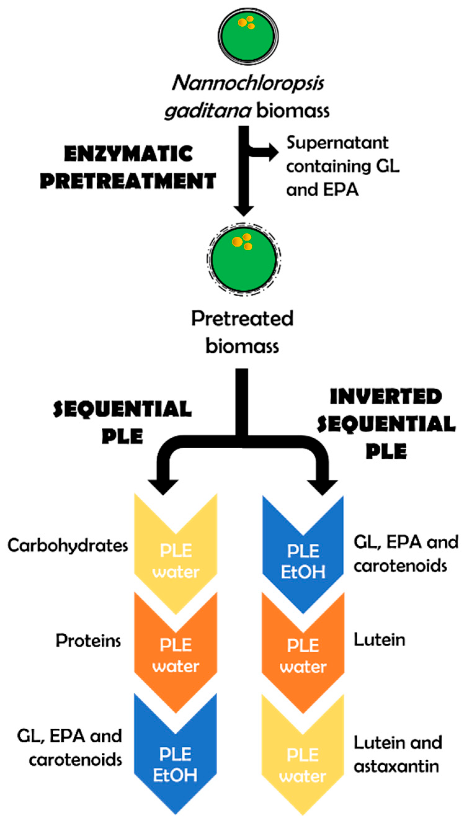 Marinedrugs 23 00263 g006