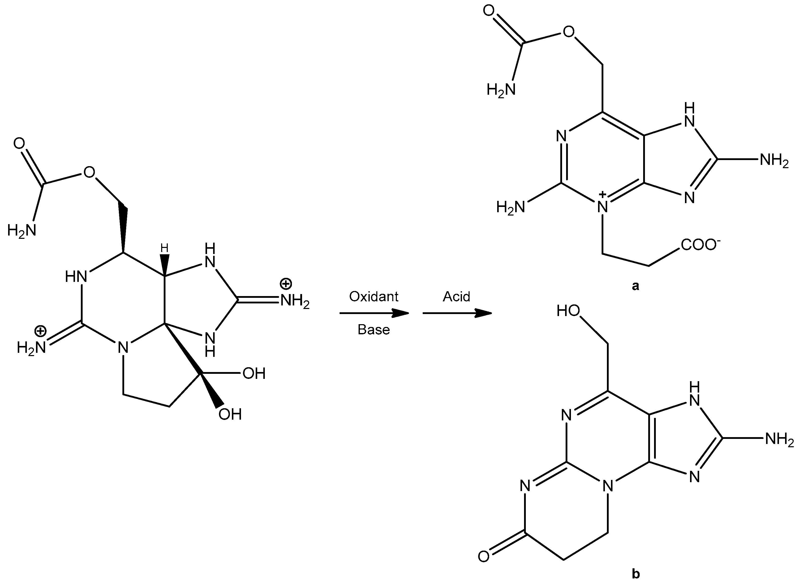Marinedrugs 23 00271 g002