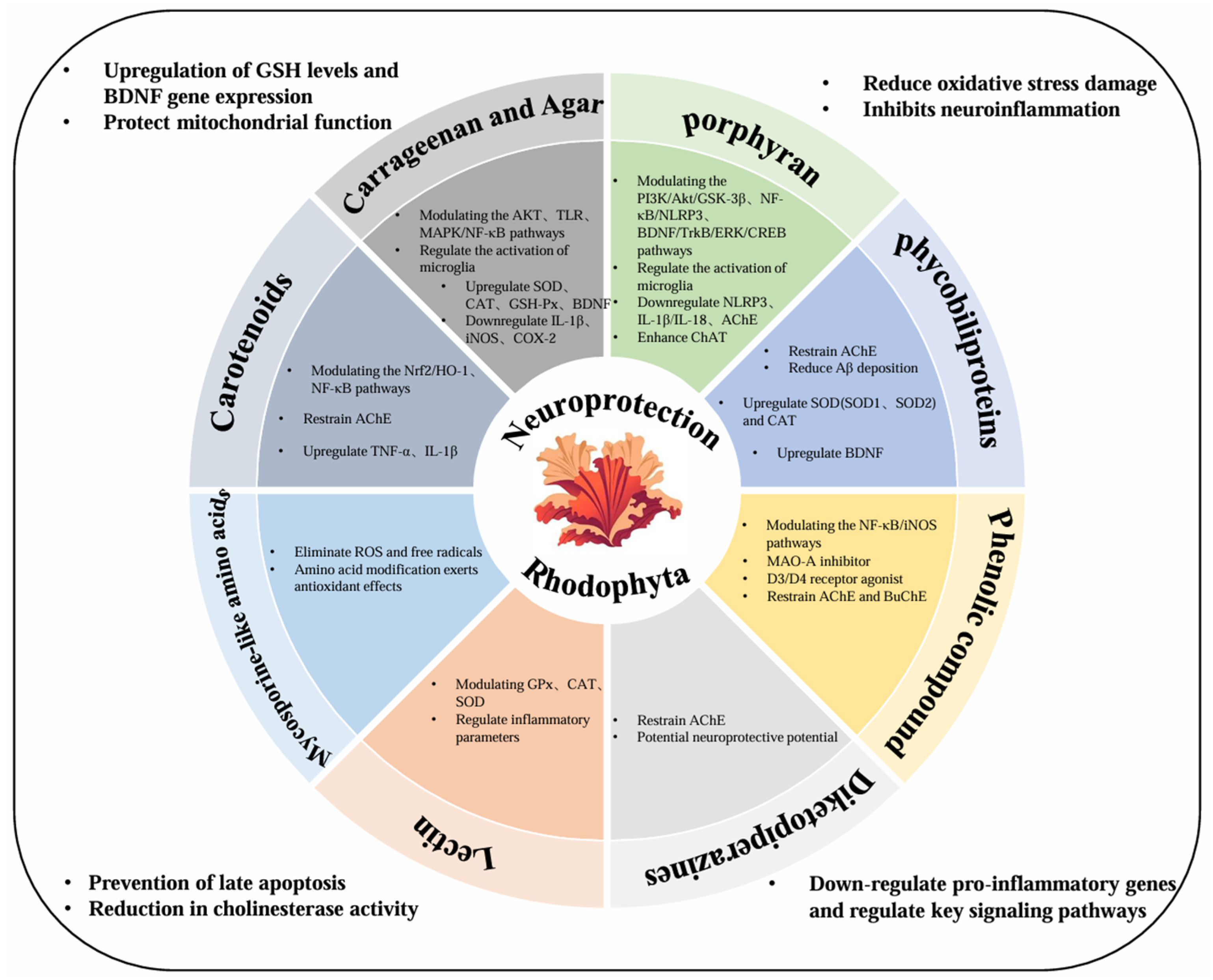 Marinedrugs 23 00274 g001