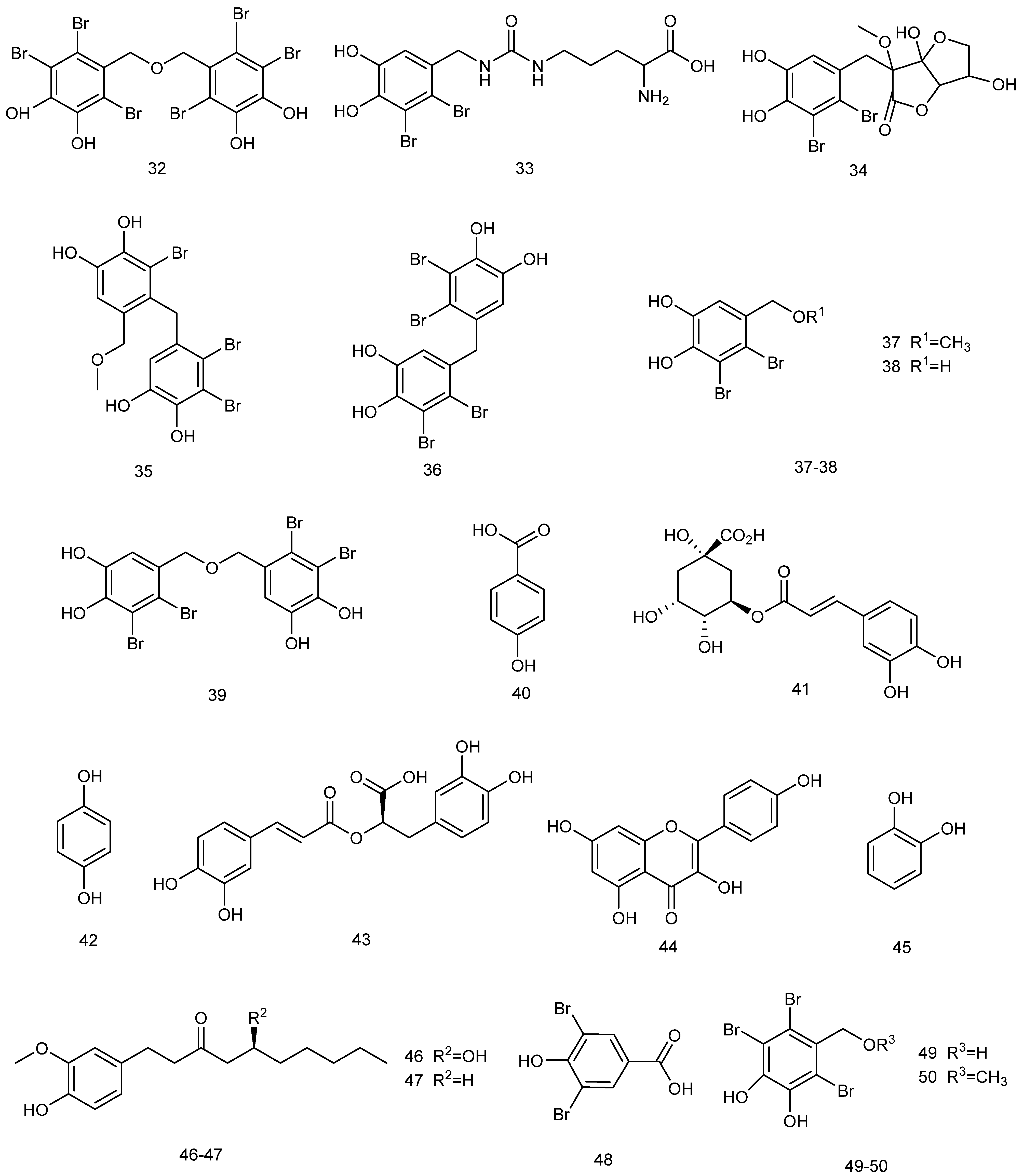 Marinedrugs 23 00274 g008