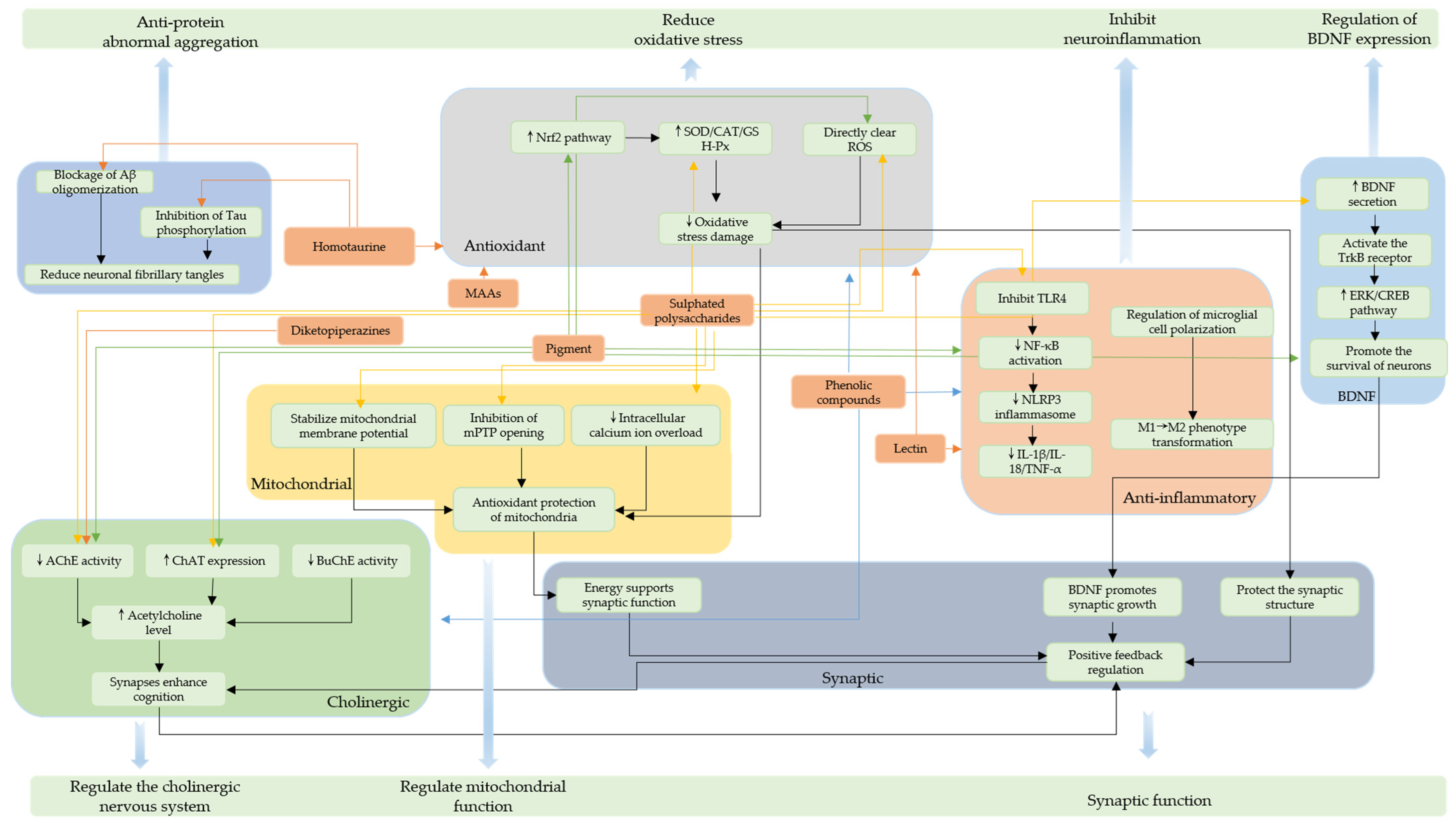 Marinedrugs 23 00274 g011