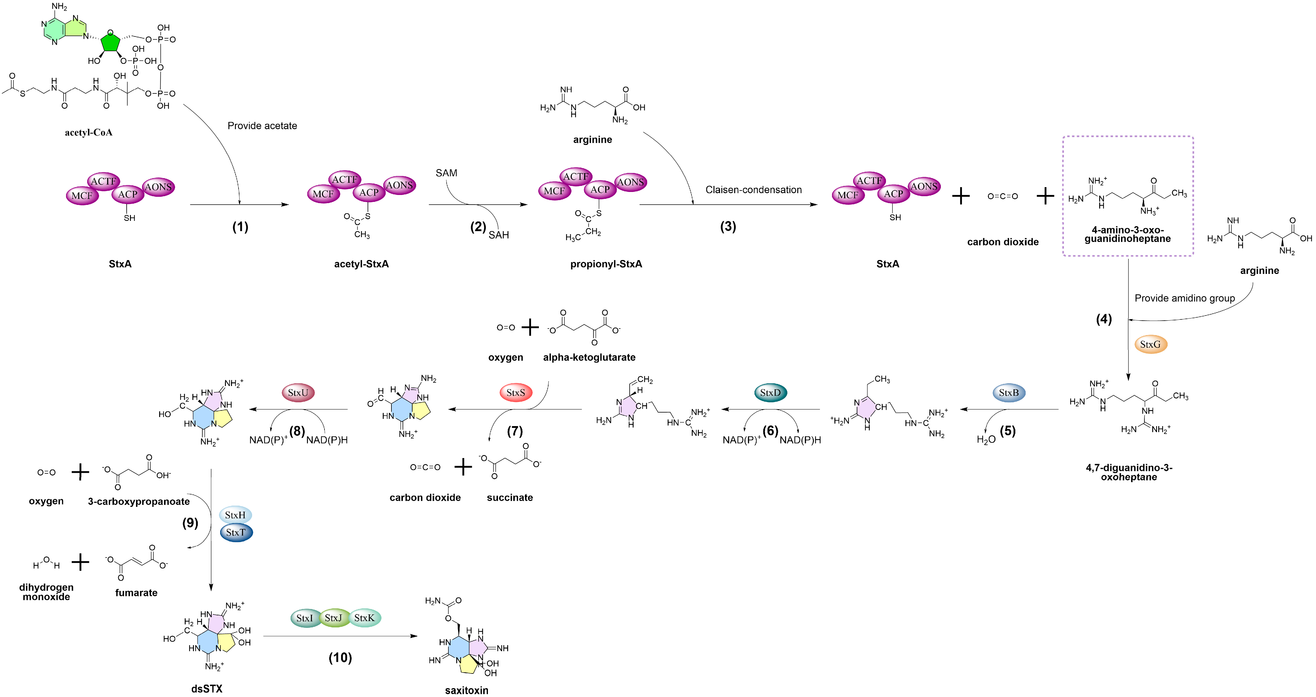 Marinedrugs 23 00277 g001