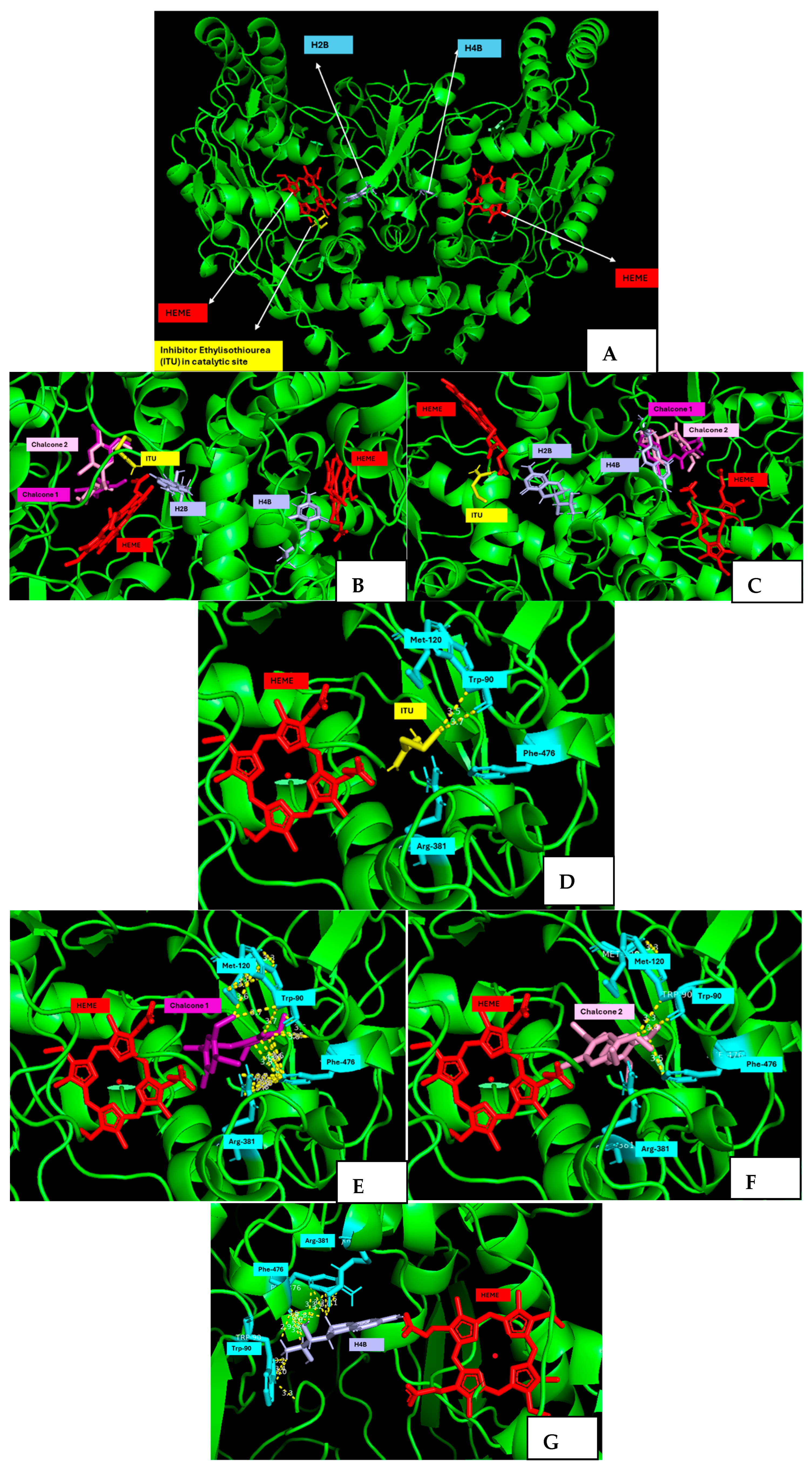 Marinedrugs 23 00278 g007a