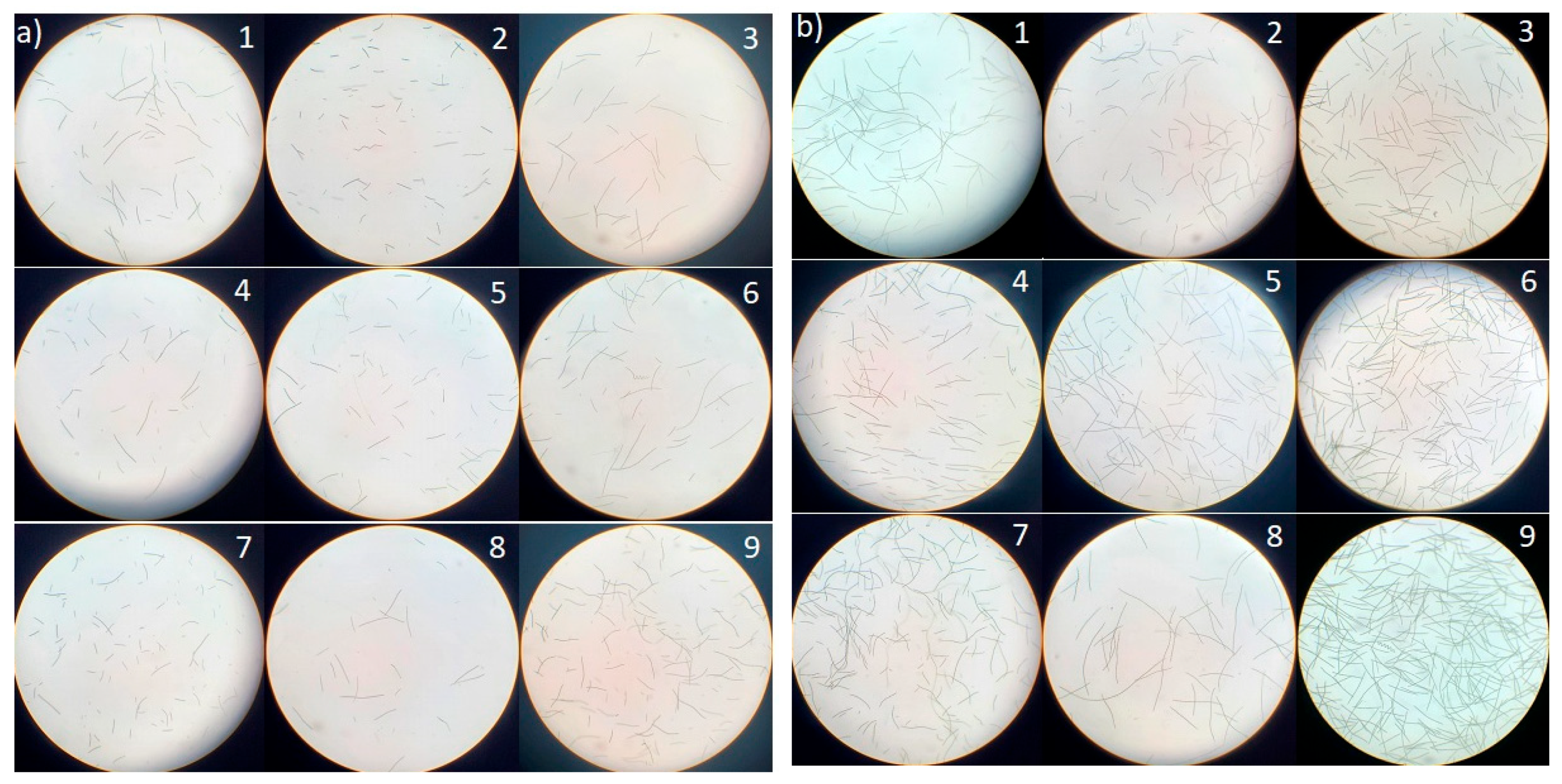 Marinedrugs 23 00281 g002 Marinedrugs 23 00281 g002