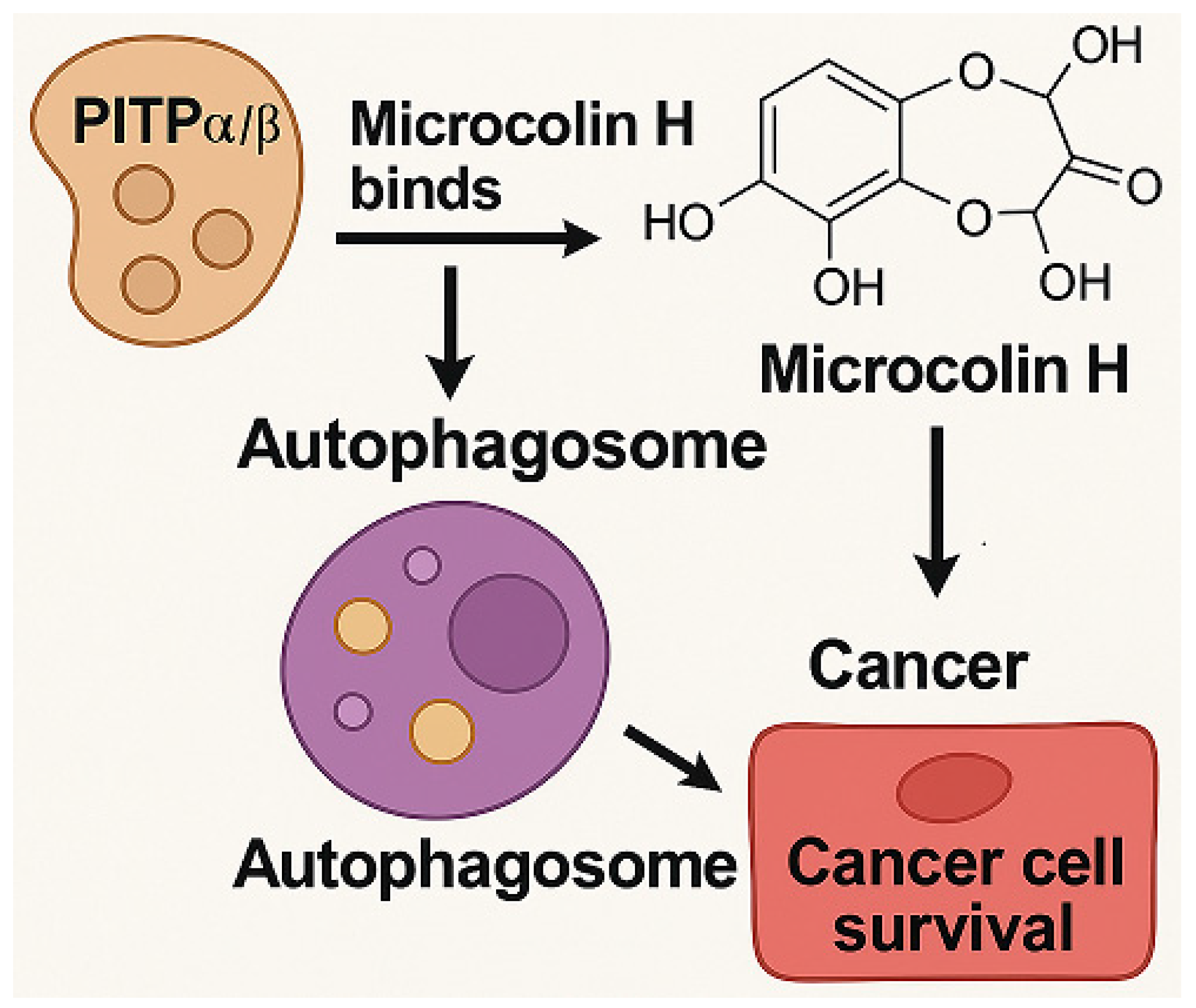 Marinedrugs 23 00283 g002