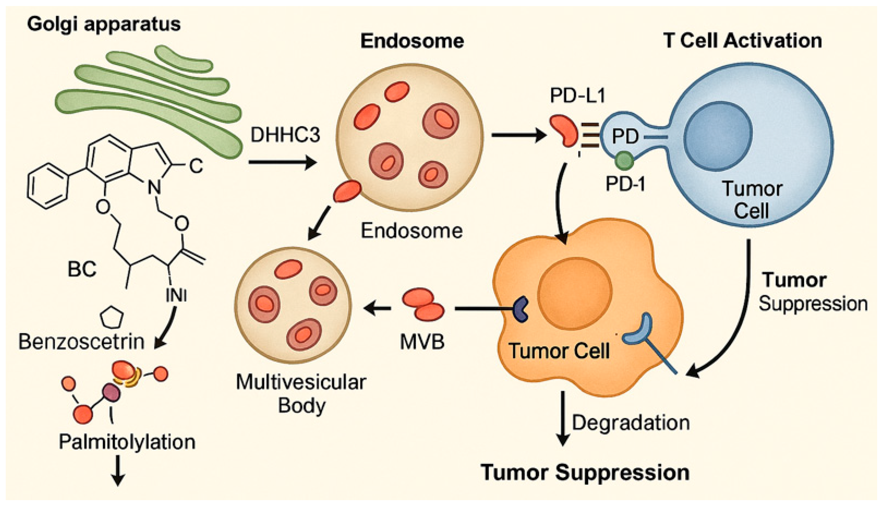 Marinedrugs 23 00283 g003