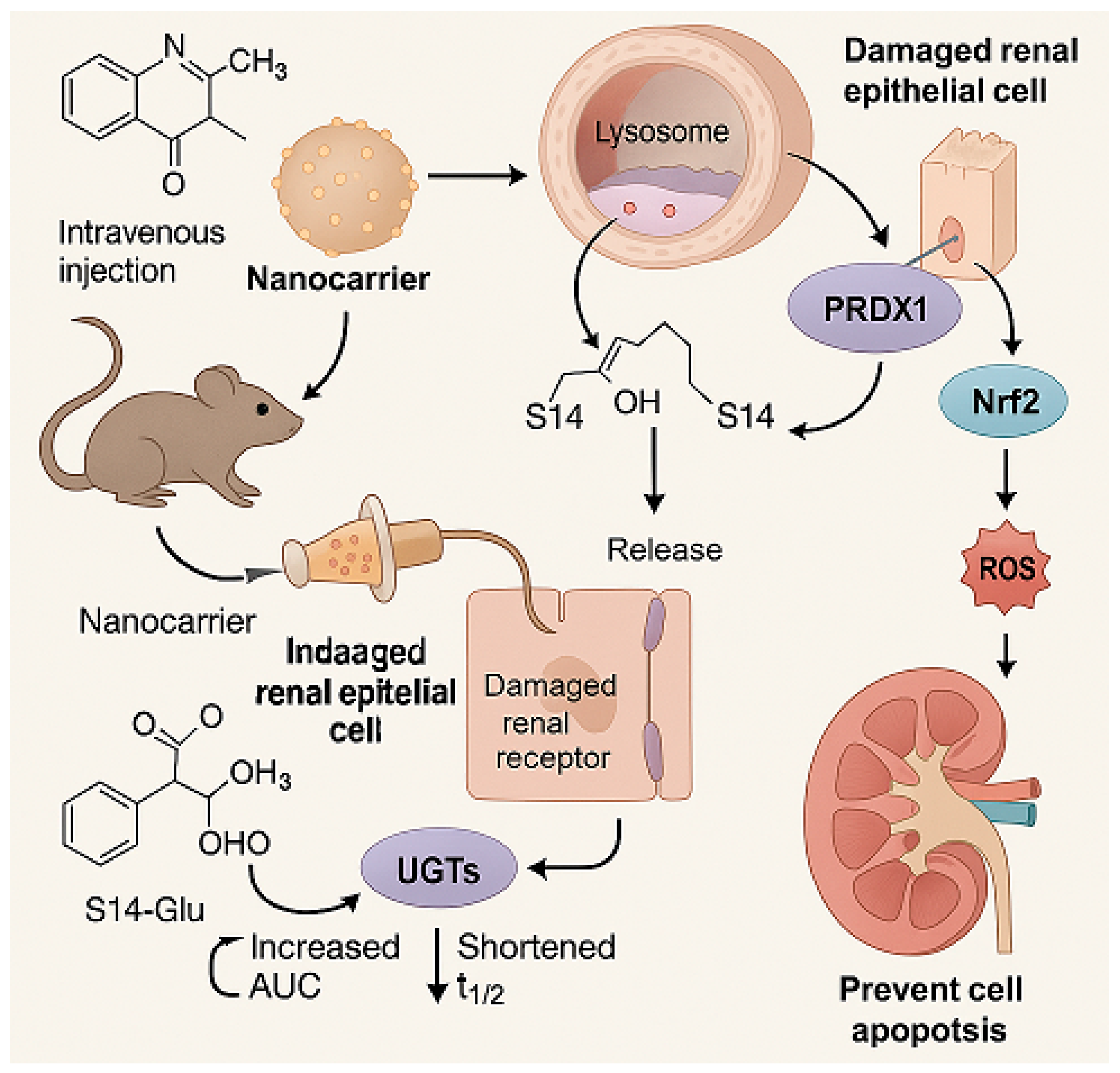 Marinedrugs 23 00283 g004