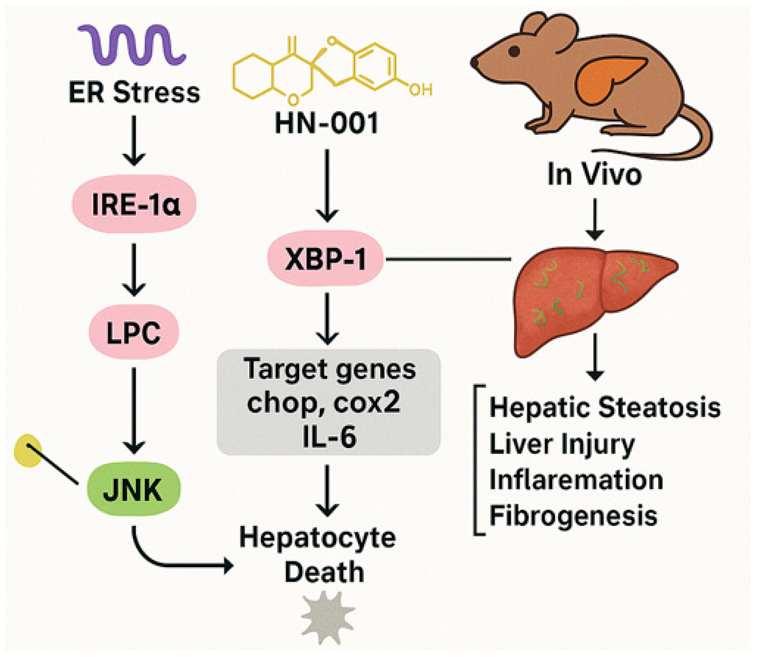 Marinedrugs 23 00283 g005