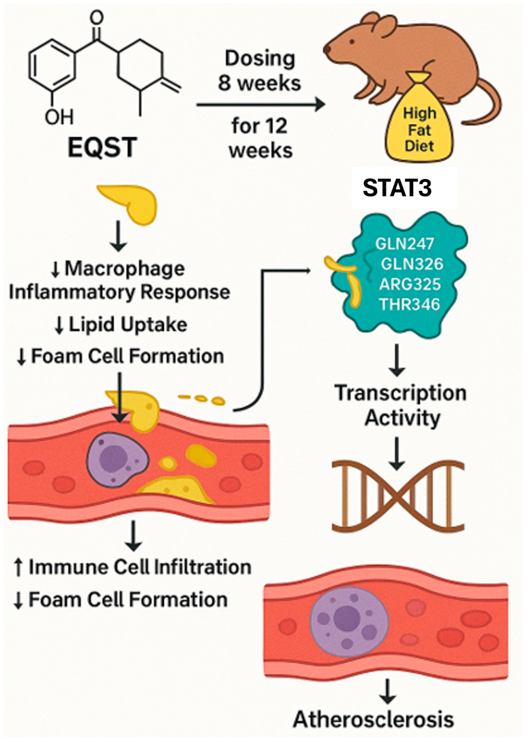 Marinedrugs 23 00283 g006