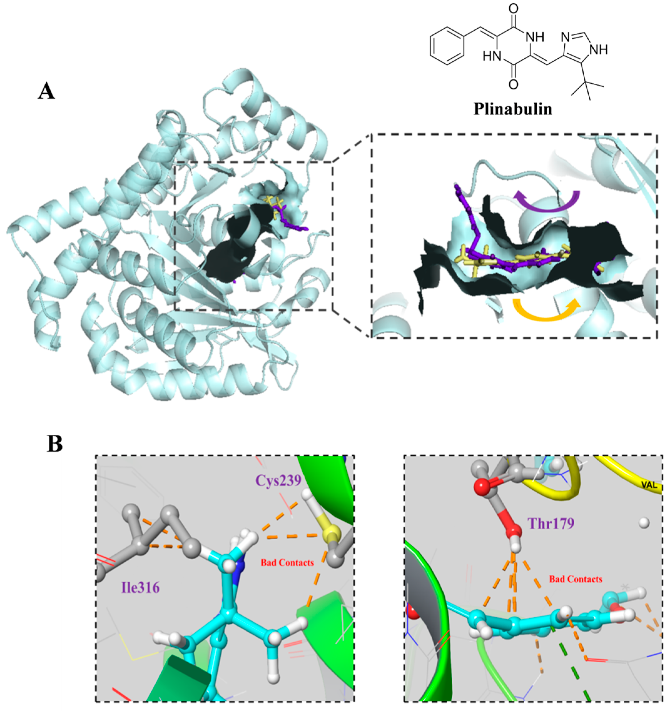 Marinedrugs 23 00289 g005