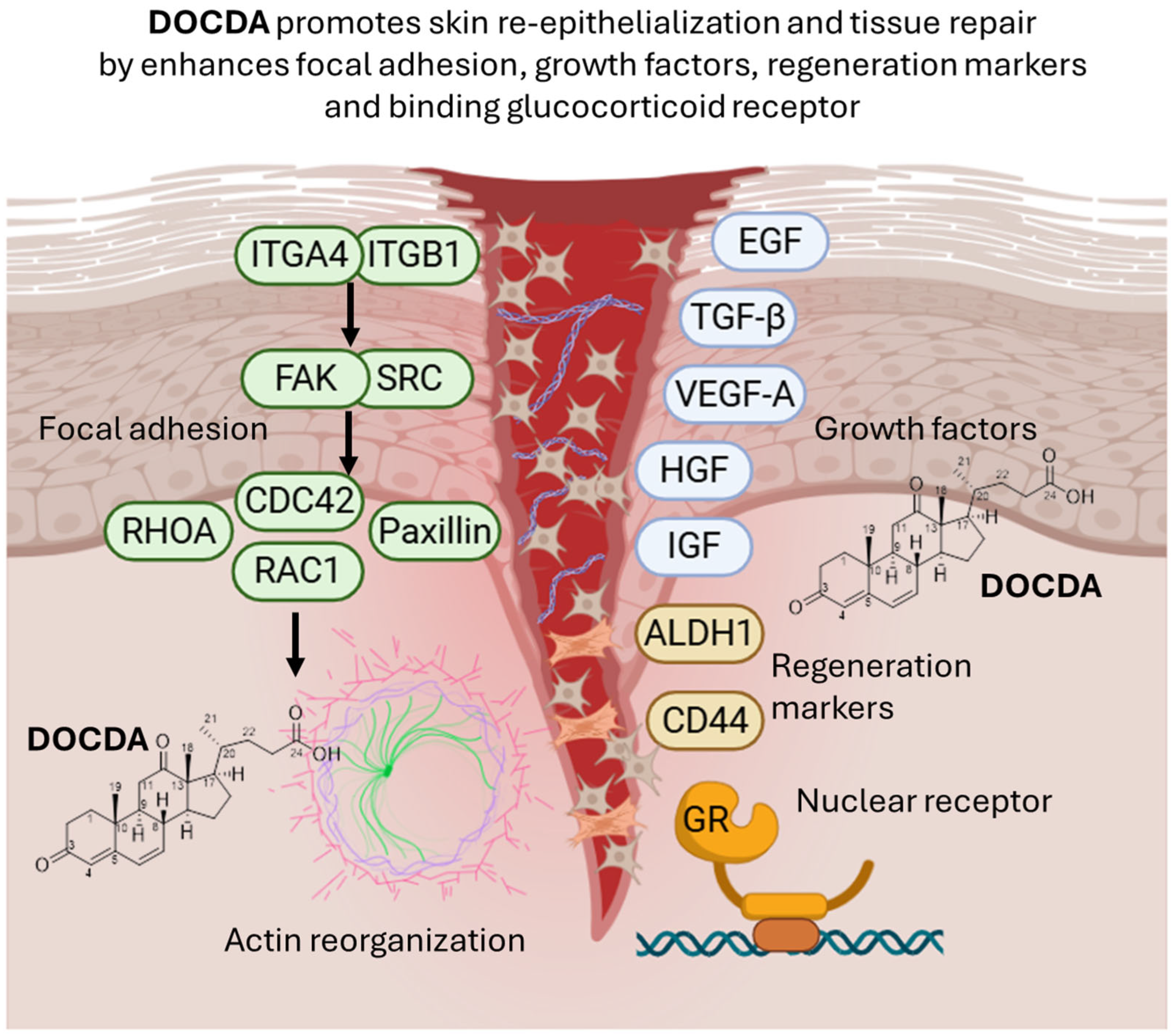 Marinedrugs 23 00292 g010