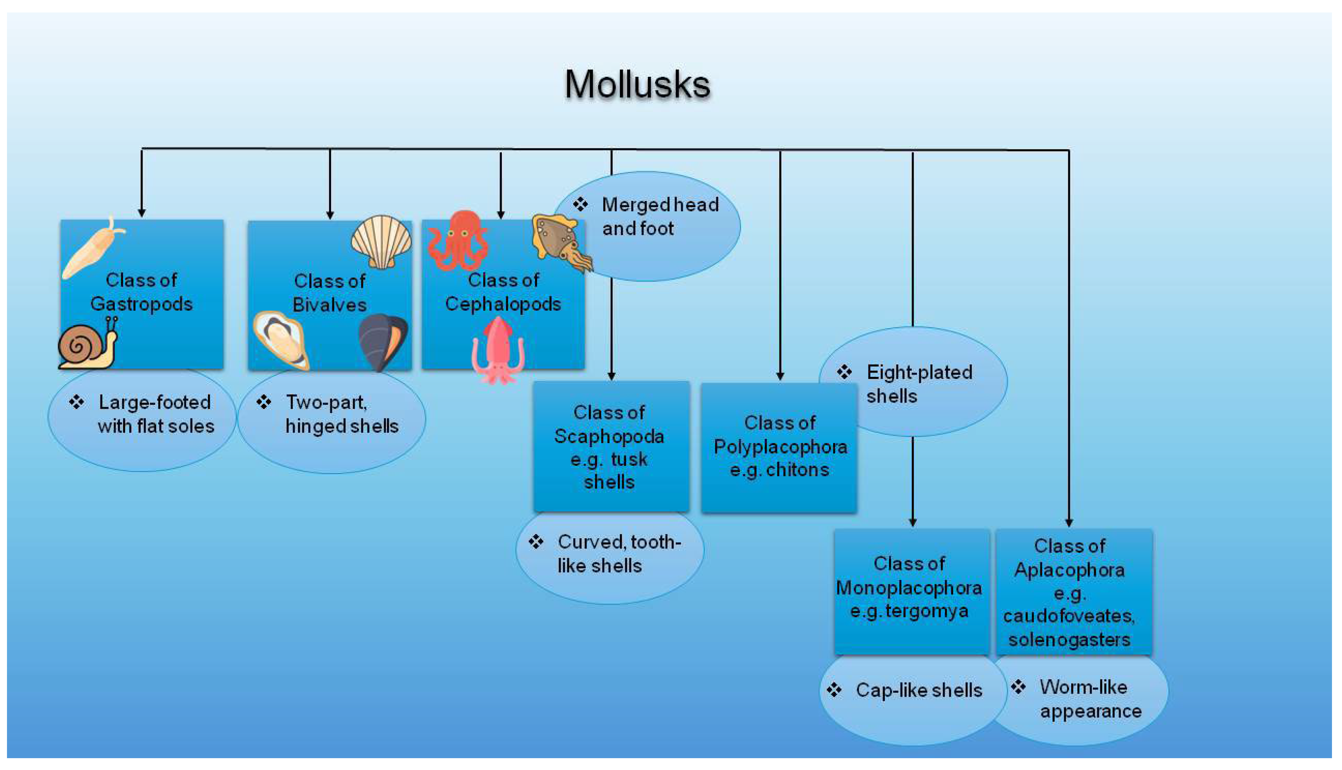 Marinedrugs 23 00299 g001