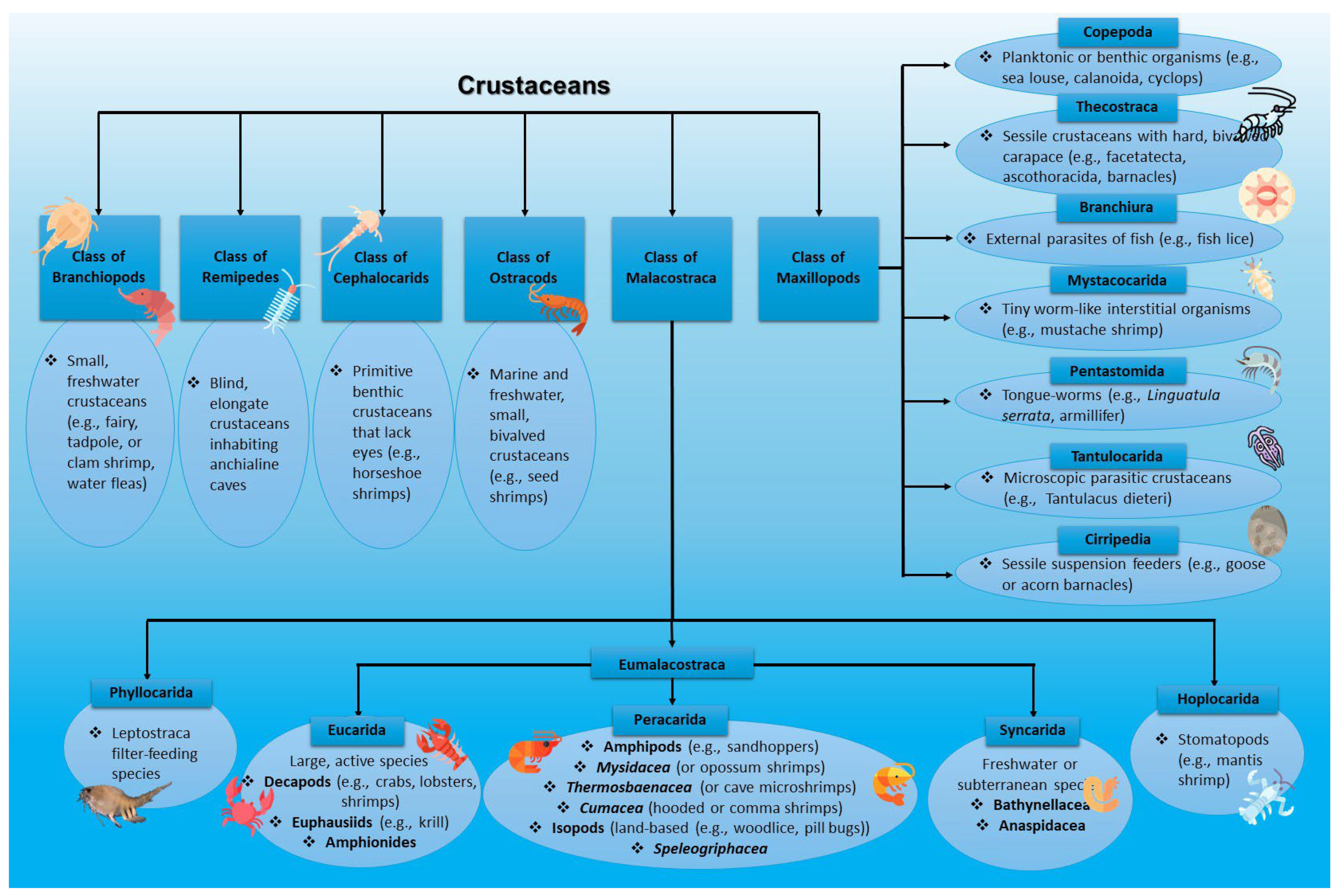 Marinedrugs 23 00299 g002