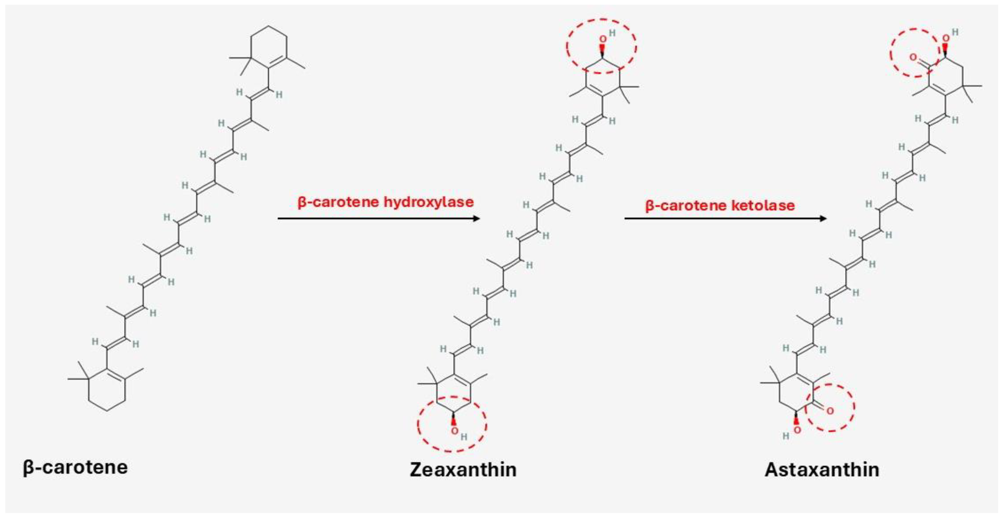 Marinedrugs 23 00299 g005