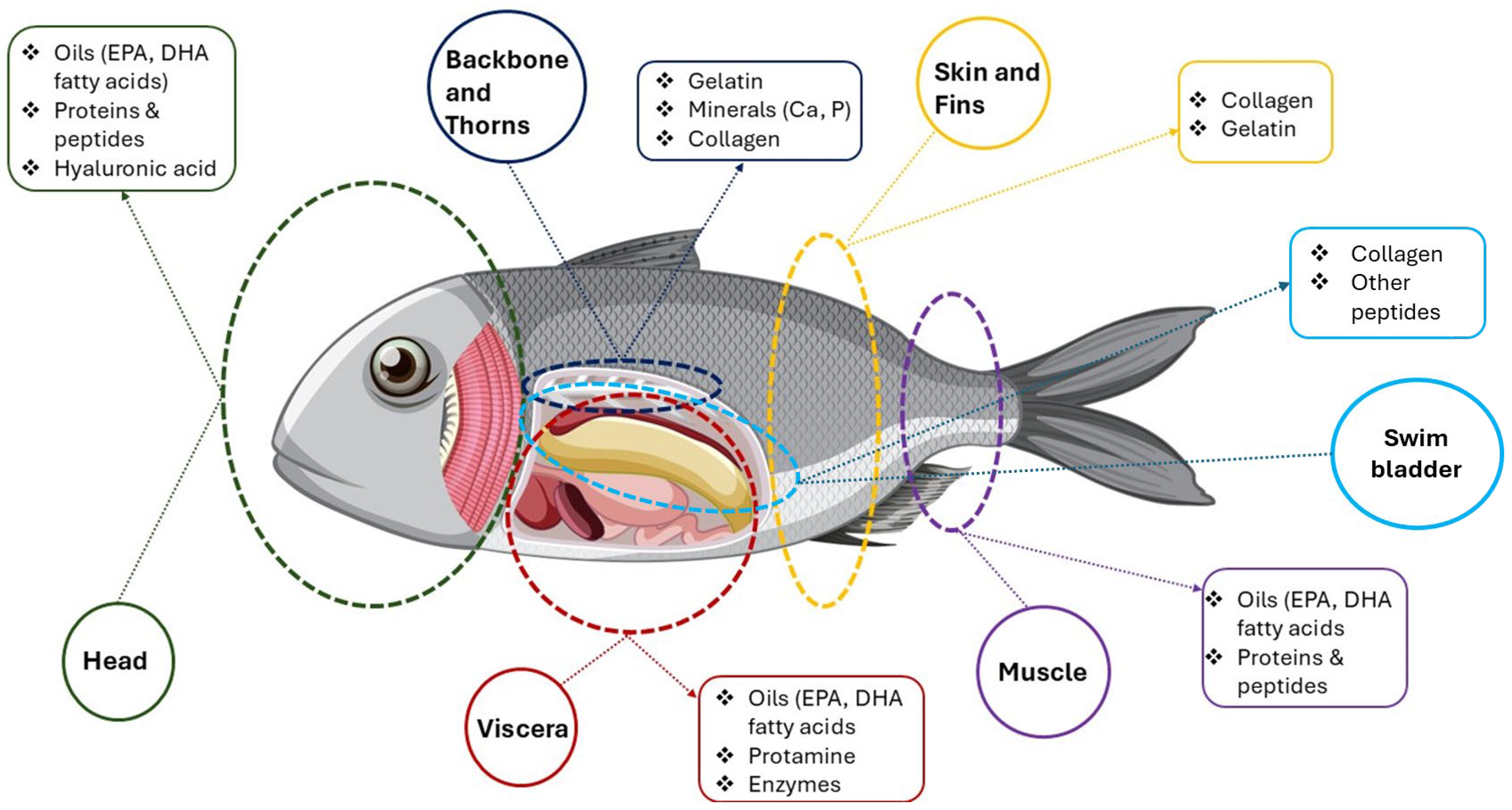 Marinedrugs 23 00299 g006