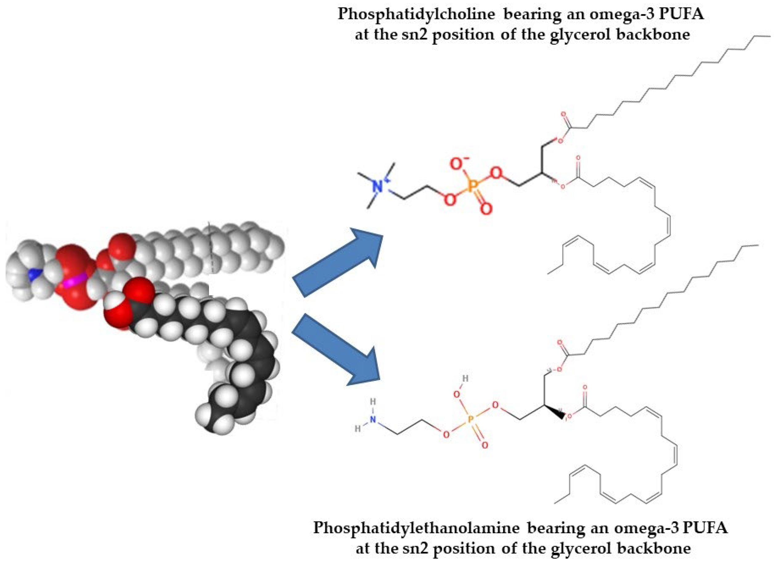 Marinedrugs 23 00299 g008