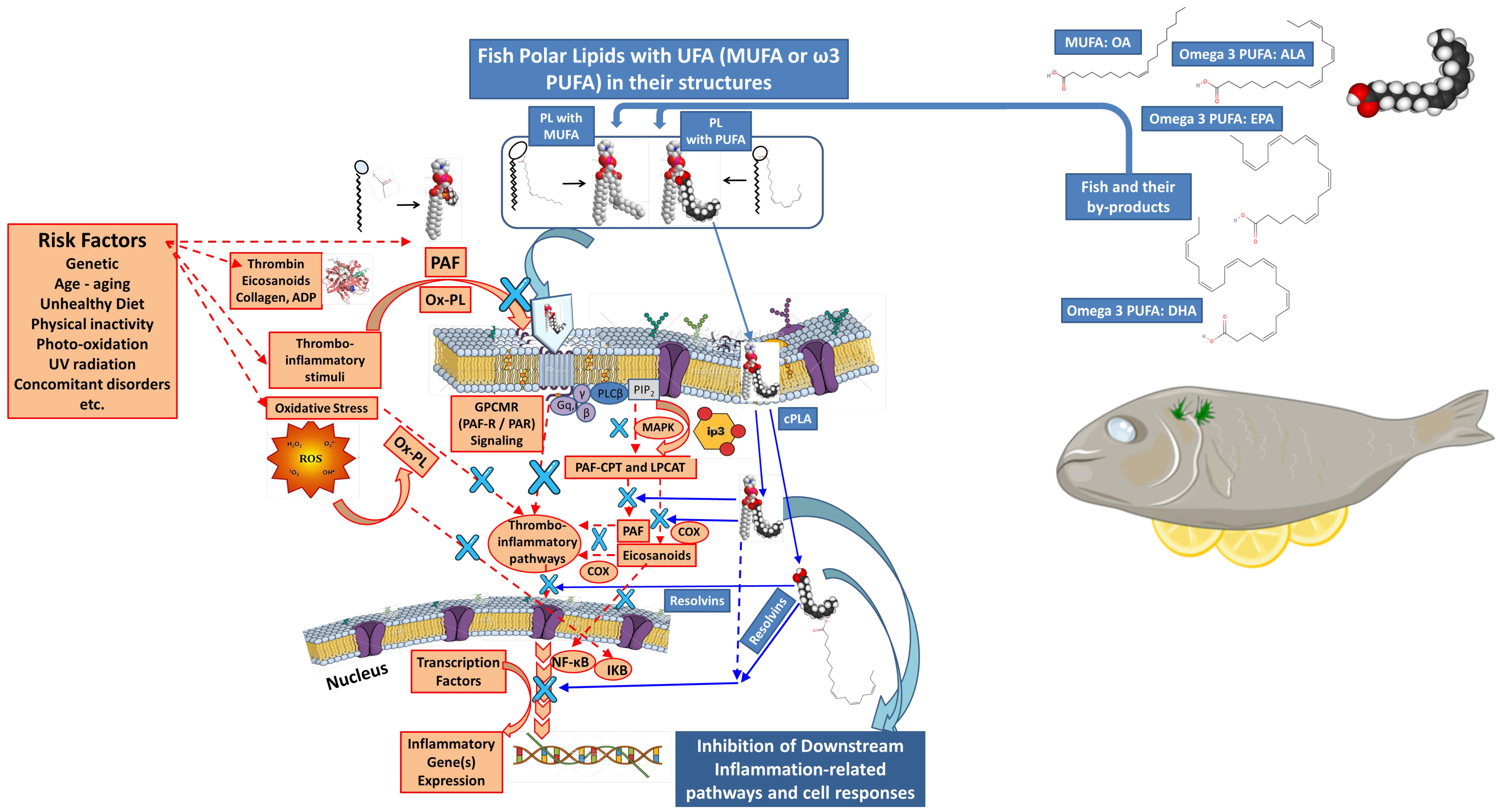 Marinedrugs 23 00299 g009