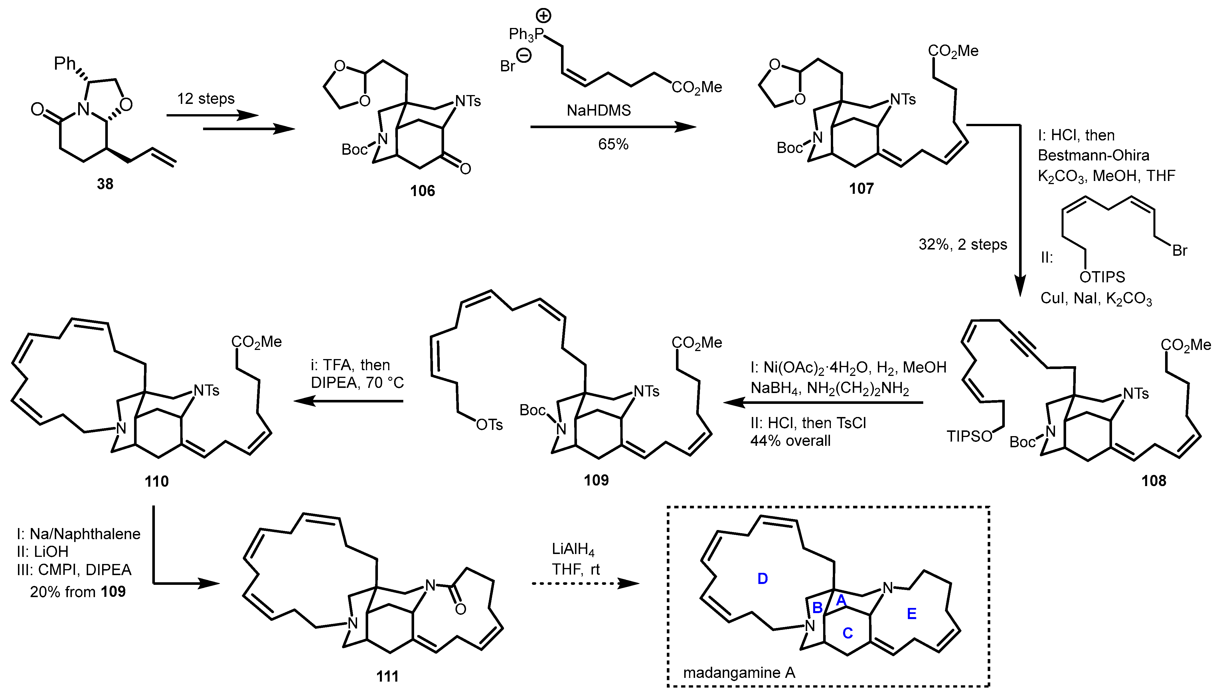 Marinedrugs 23 00301 sch018
