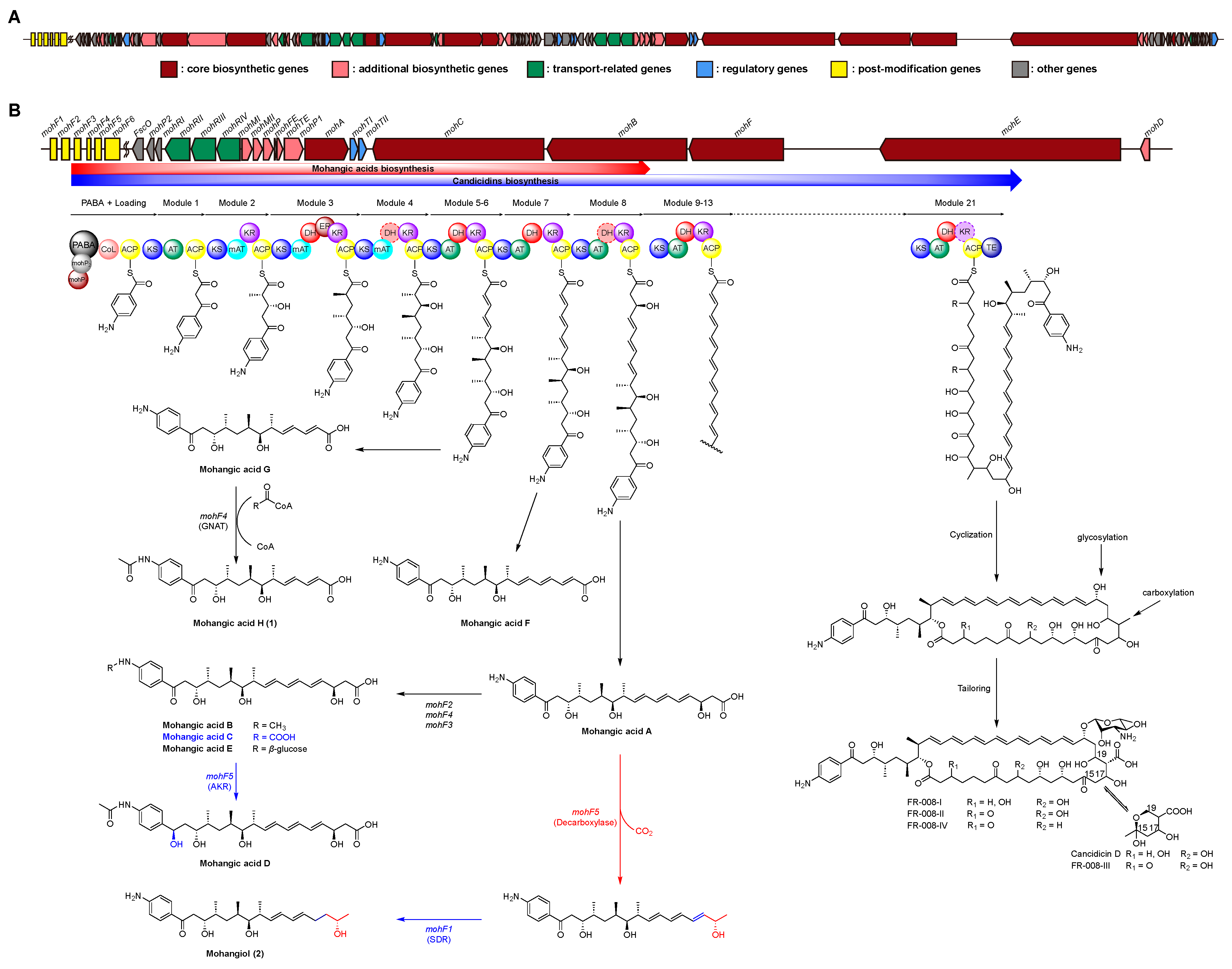 Marinedrugs 23 00307 g004