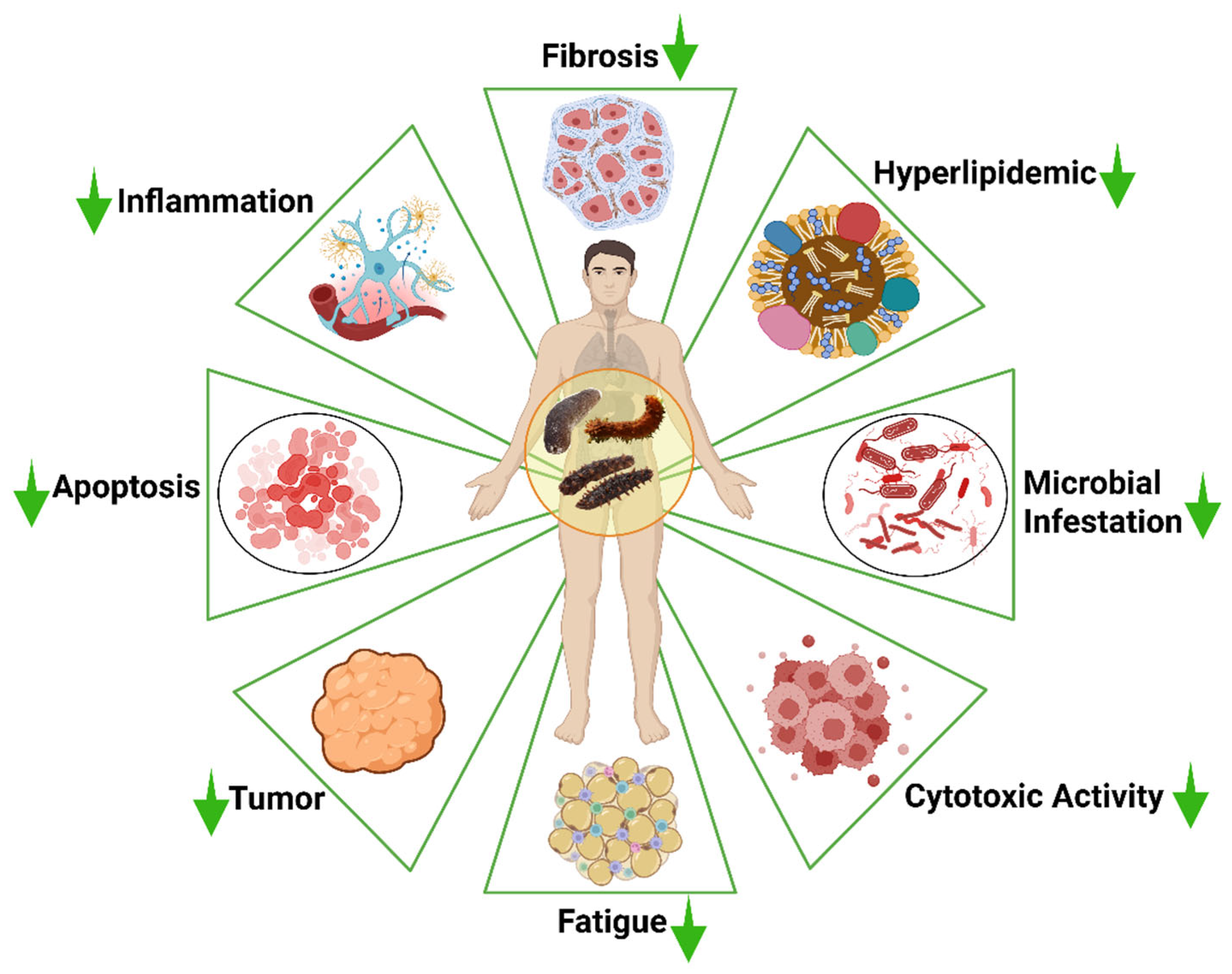 Marinedrugs 23 00310 g003