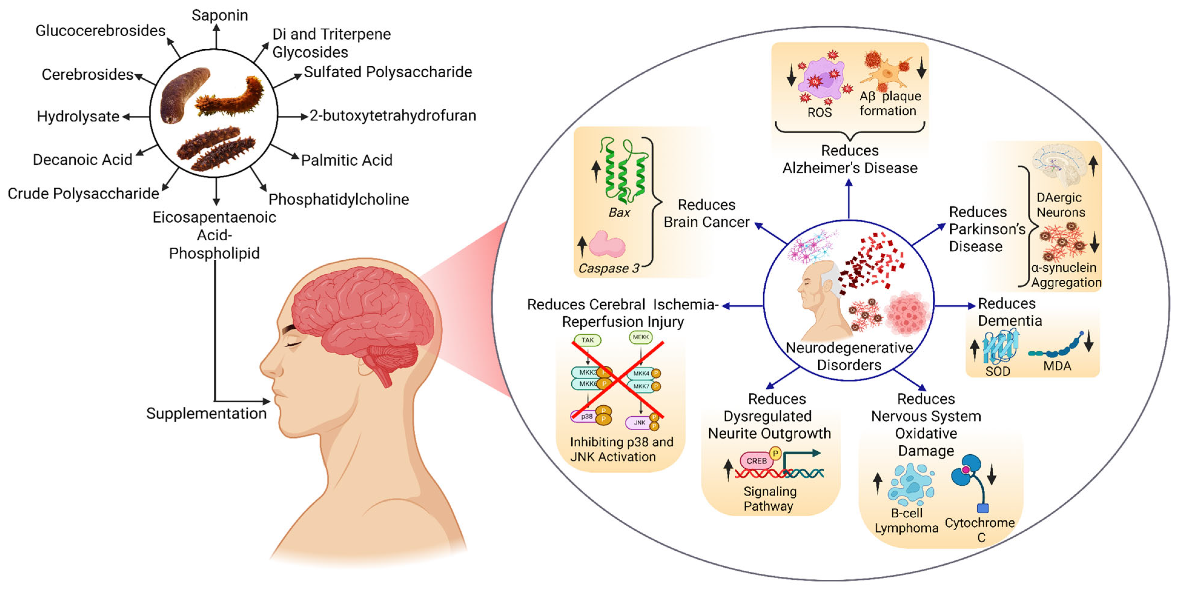 Marinedrugs 23 00310 g004