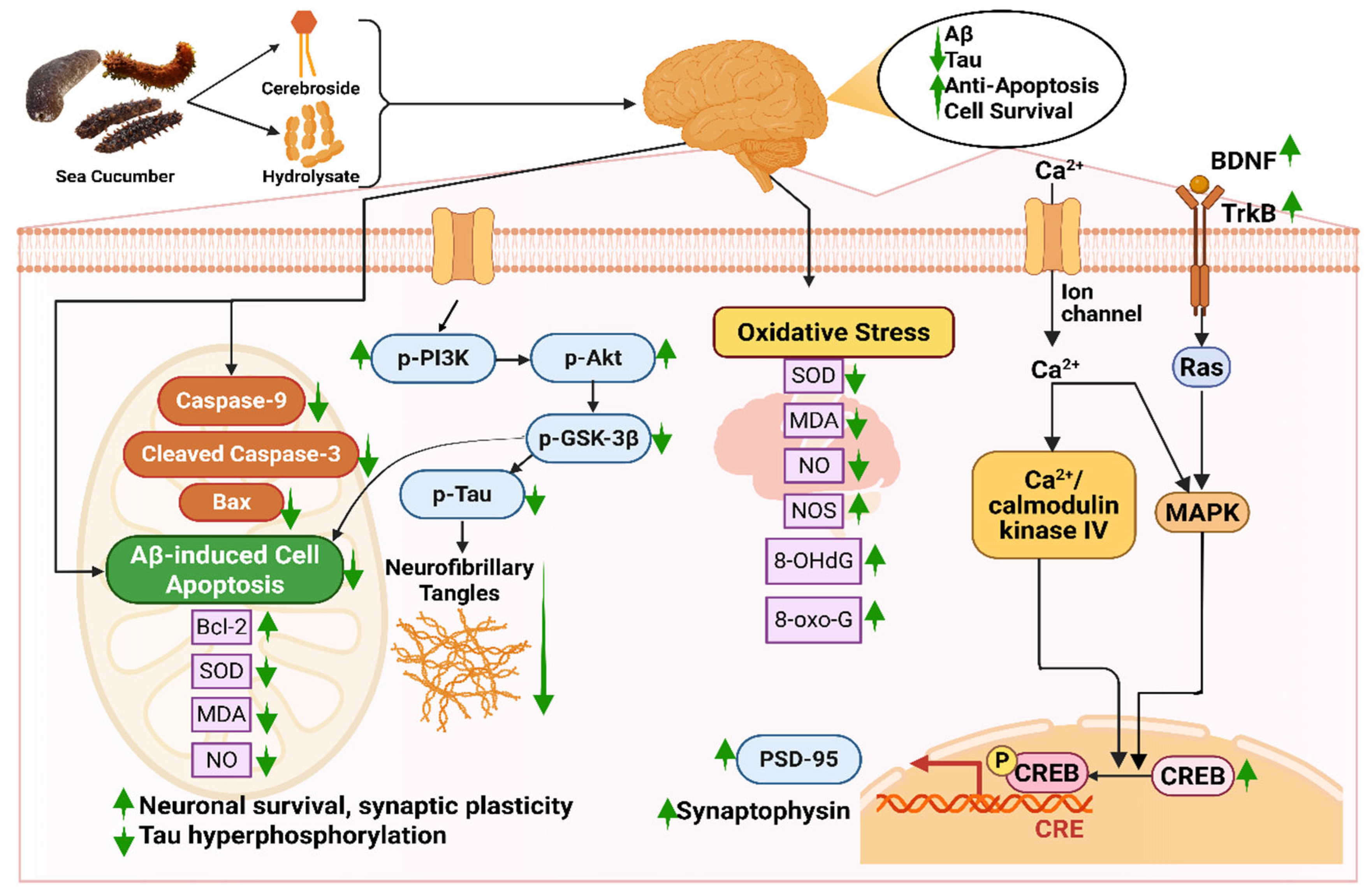 Marinedrugs 23 00310 g005