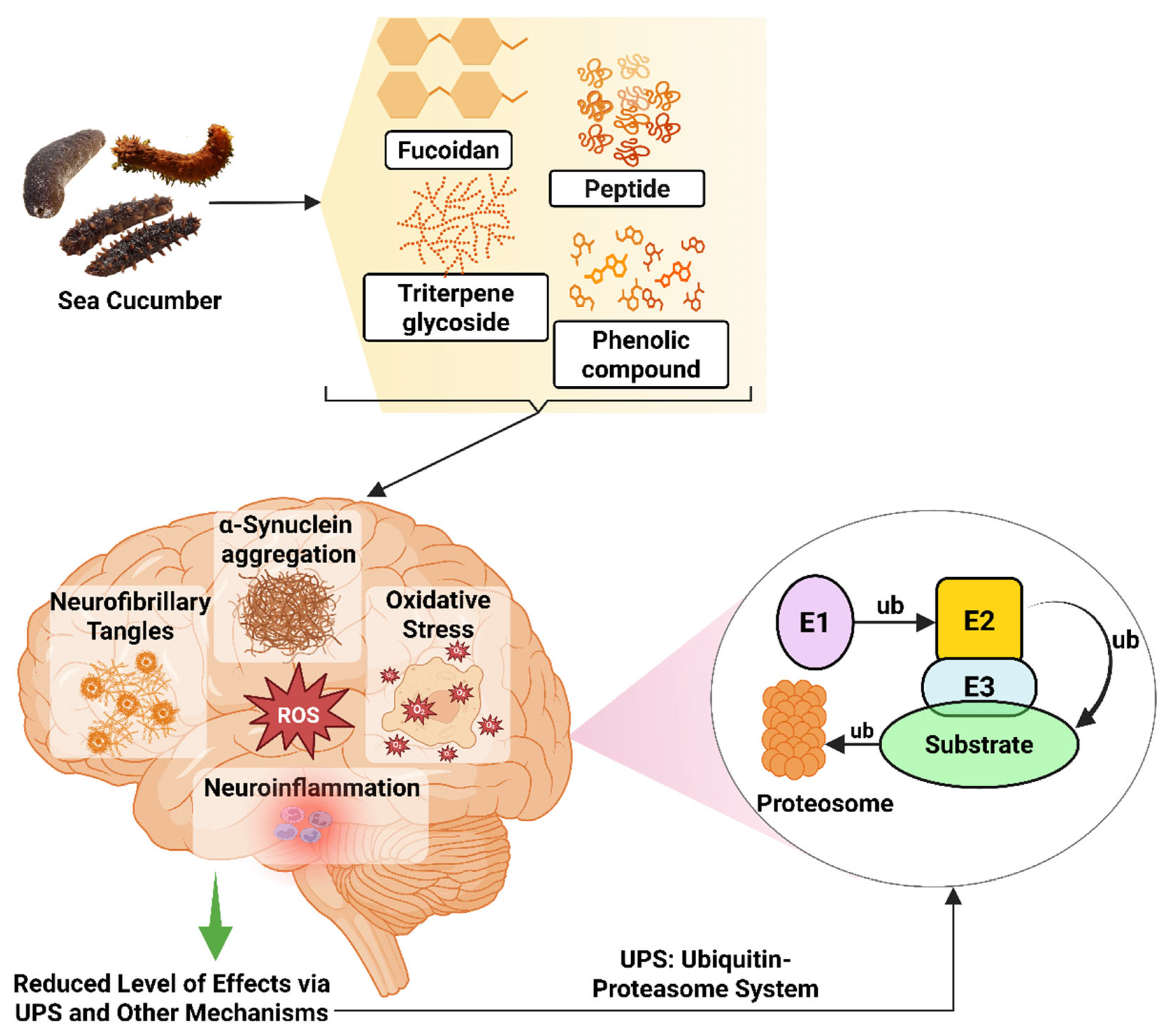 Marinedrugs 23 00310 g006